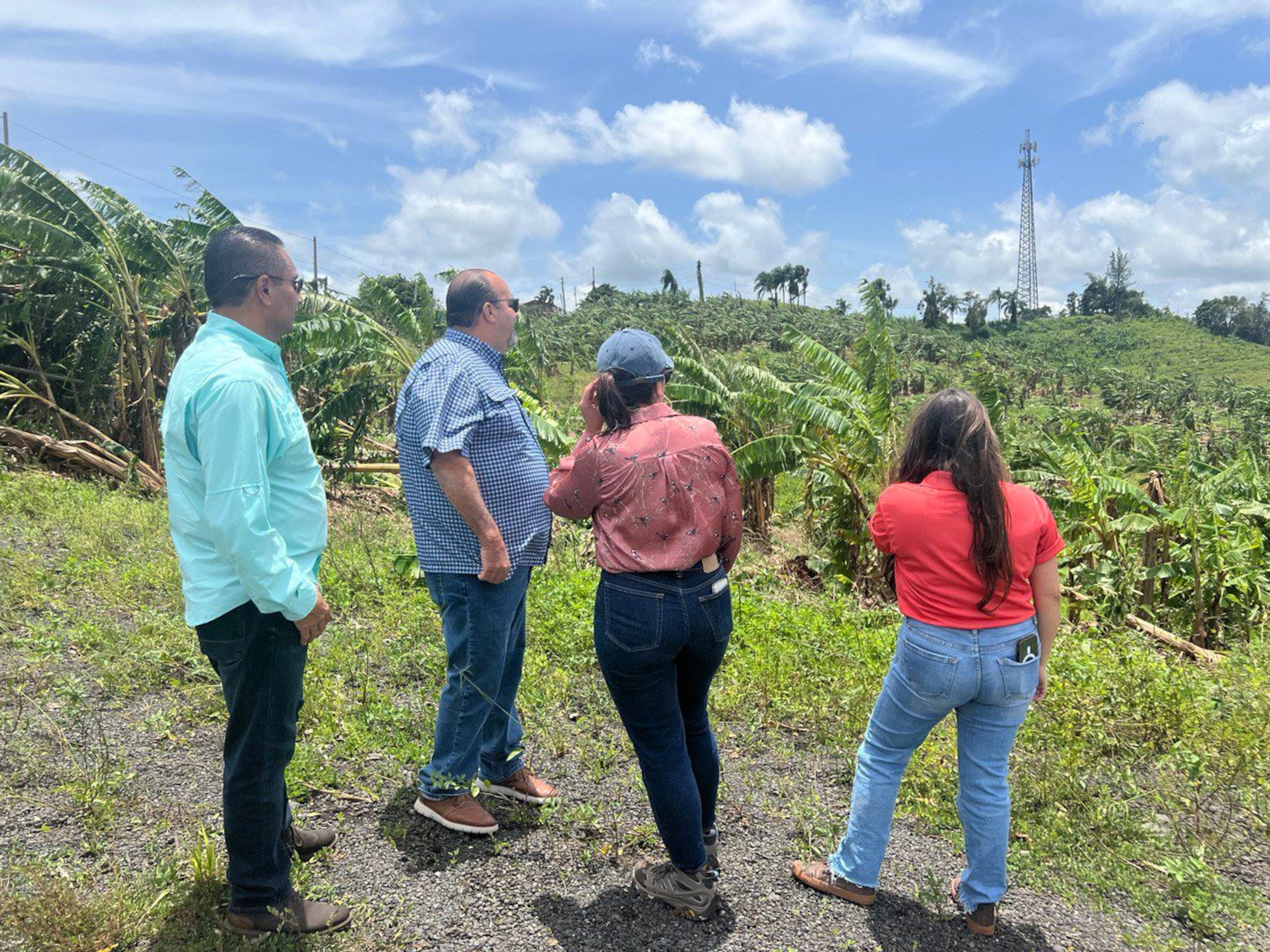 Foto de archivo del recorrido que hizo el secretario de Agricultura, Ramón González, por municipios del centro de las isla, como Barranquitas, tras el paso de la tormenta tropical Ernesto.