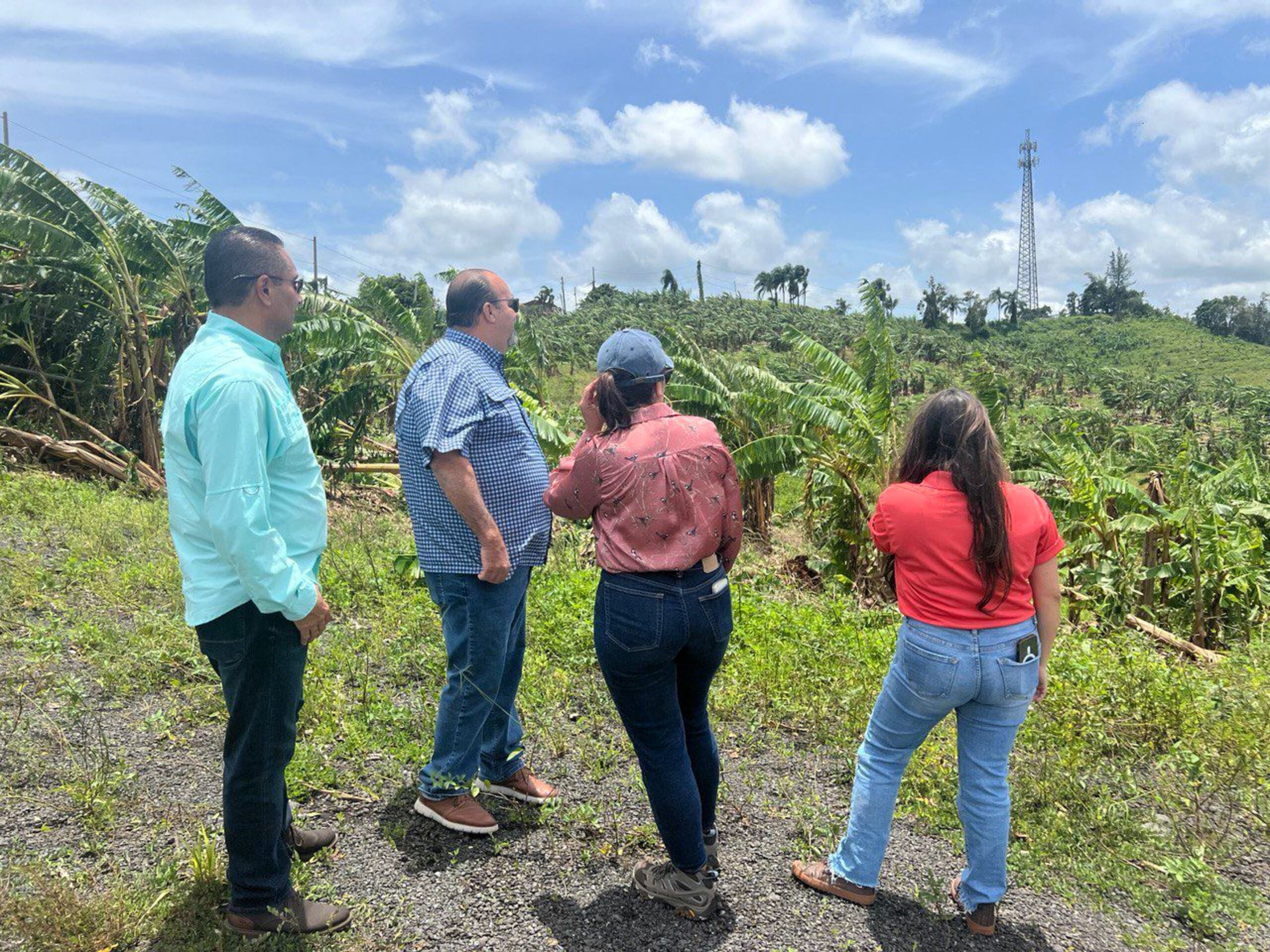 Recorrido del secretario de Agricultura, Ramón González, por municipios del centro de las isla, como Barranquitas, tras el paso de la tormenta tropical Ernesto.