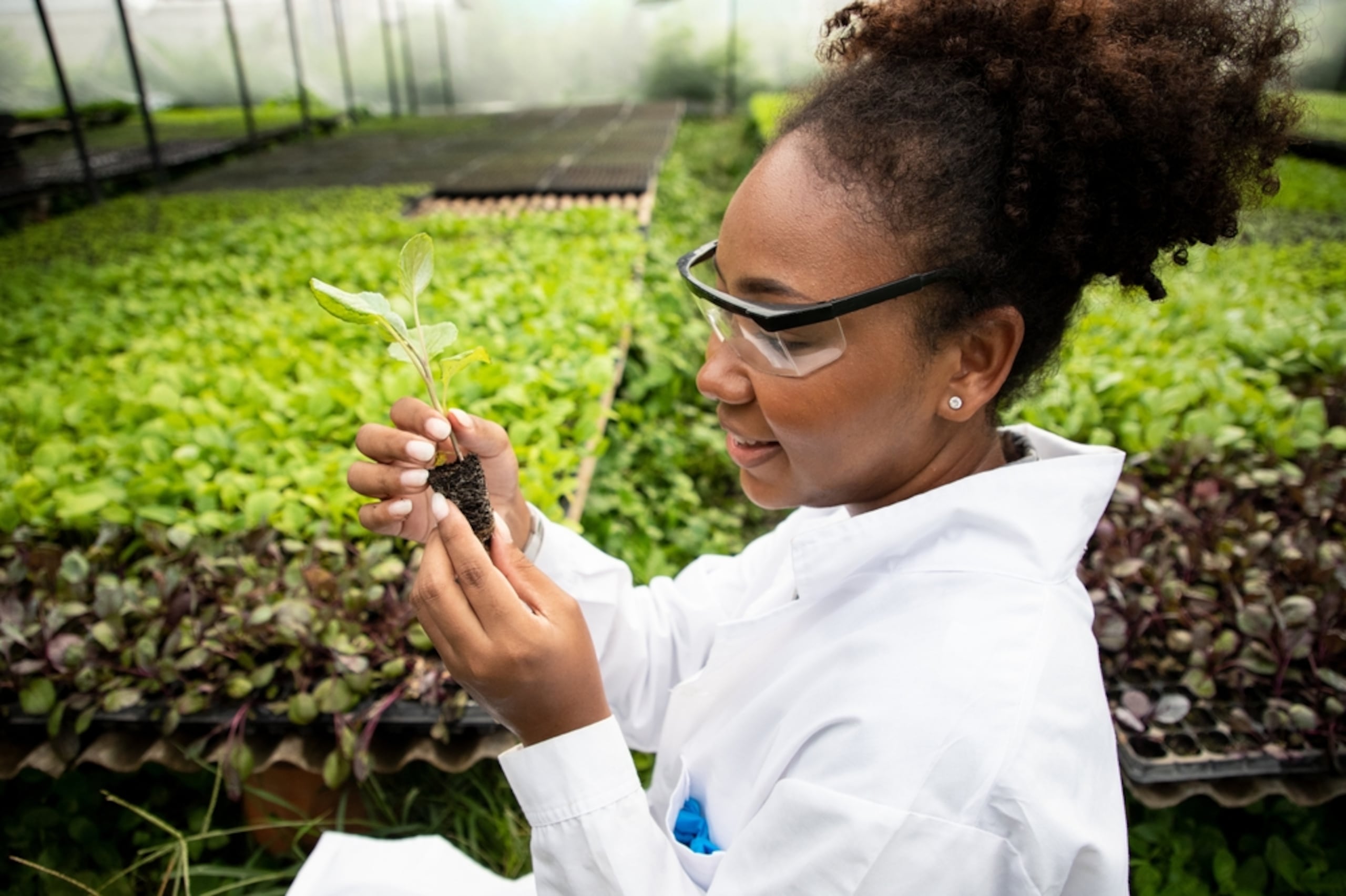 Busca una institución universitaria que  ofrezca una variedad de programas y modalidades de estudios que se adapten intereses y actividades del diario vivir.