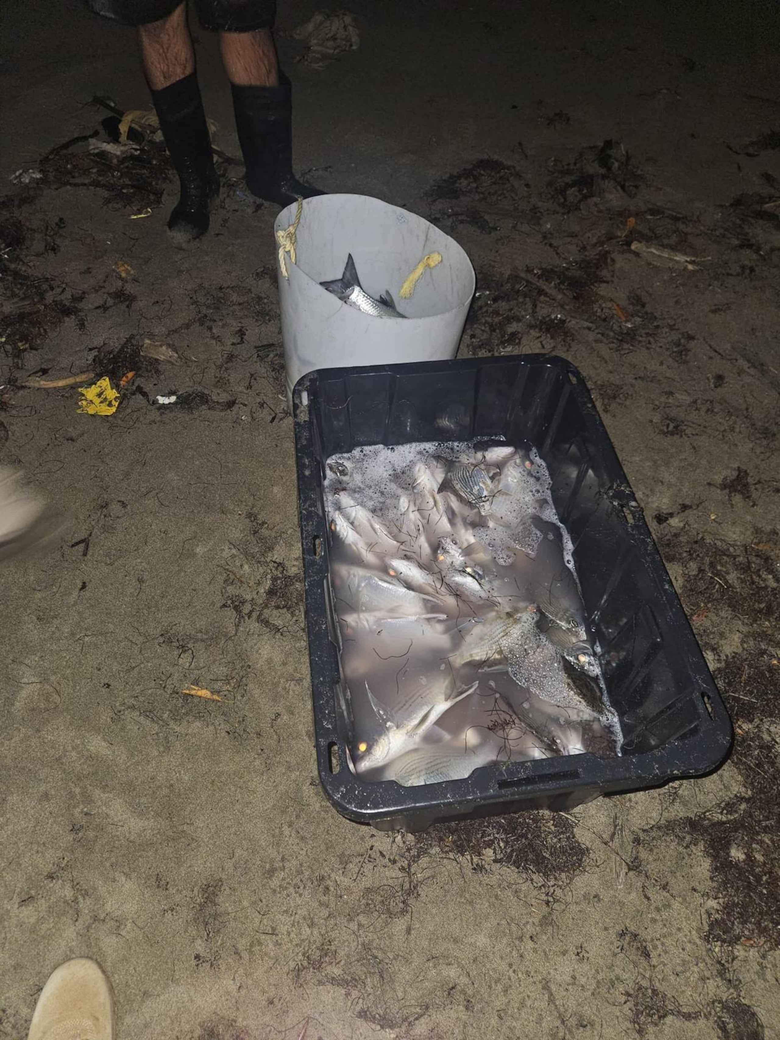 El secretario del DRNA, Waldemar Quiles, anunció que continuarán los operativos sorpresa para combatir la pesca ilegal en zonas protegidas de la Isla.