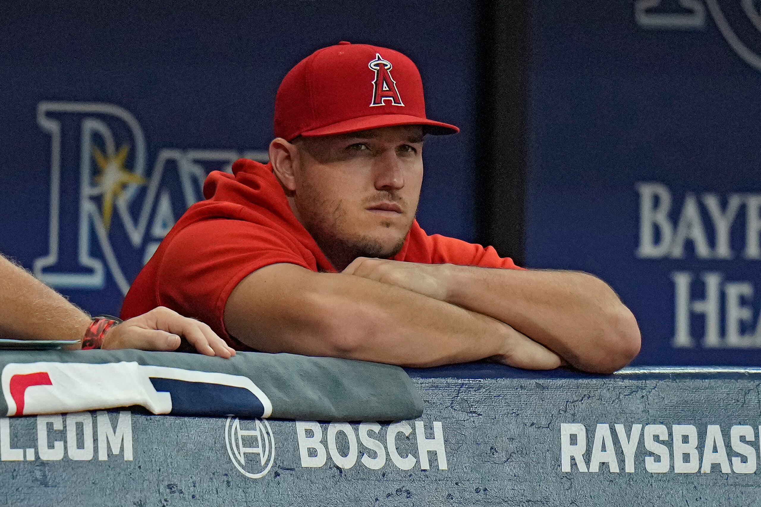 El jardinero de los Angelinos de Los Ángeles Mike Trout observa desde el banco durante el primer episodio del juego ante los Rays de Tampa Bay, en San Petersburgo, Florida. Jueves 19 de septiembre de 2023. (AP Foto/Chris O'Meara)