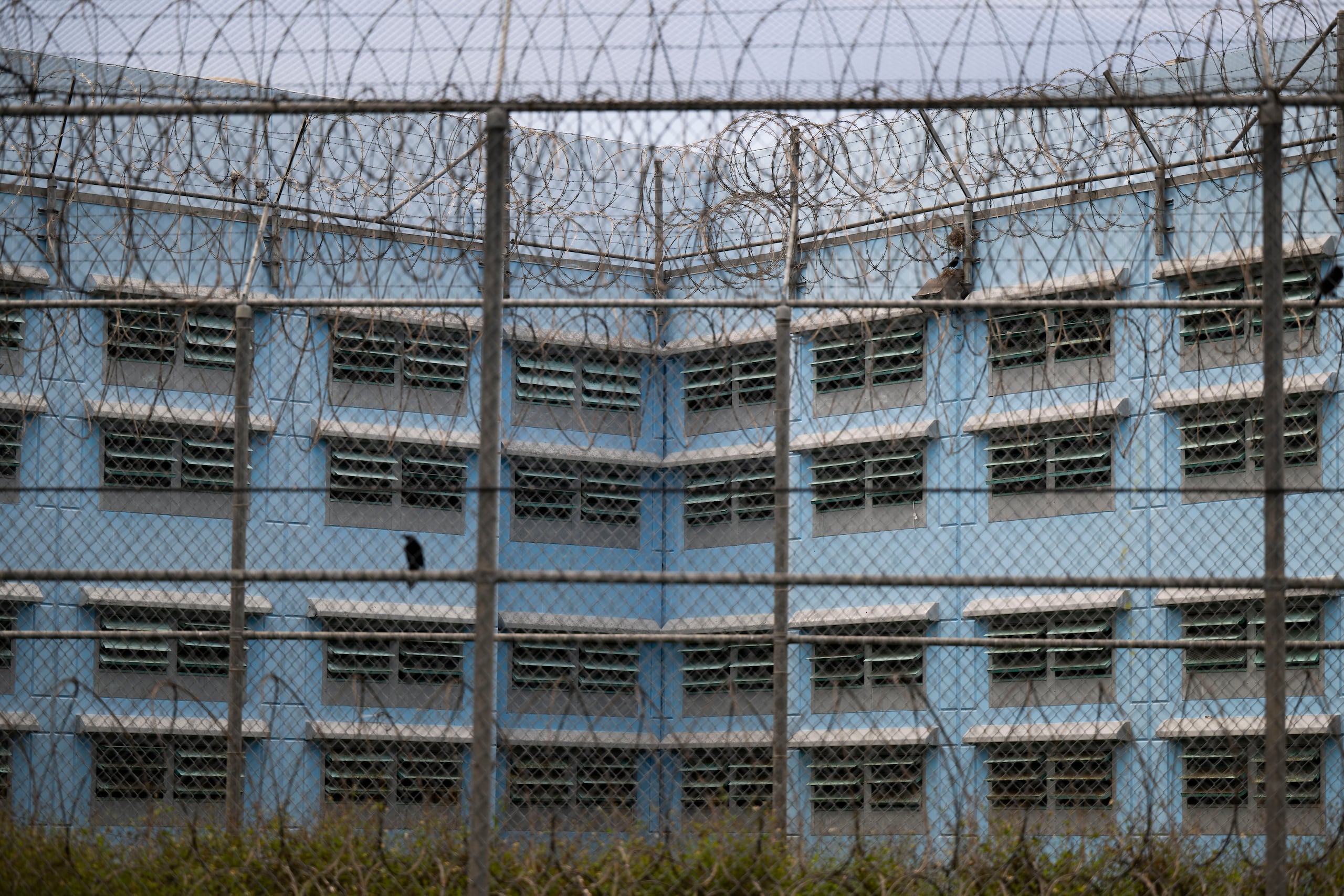 José A. Díaz Martínez fue encarcelado al no prestar una fianza de $100,000.(Archivo/ FOTO POR: Carlos Rivera Giusti/GFR Media)