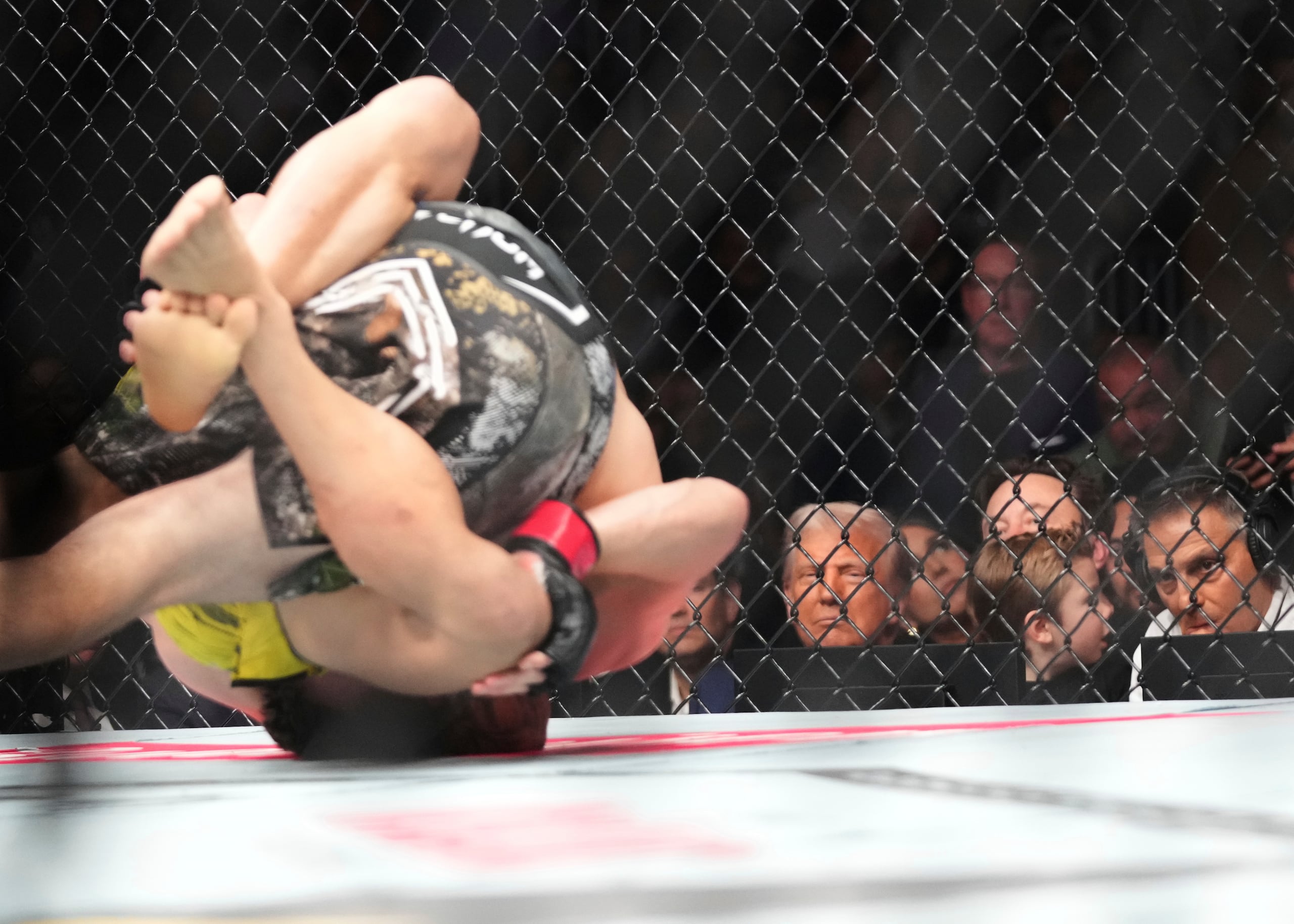 El presidente Donald Trump y X Æ A-Xii, el hijo del multimillonario Elon Musk, observan una pelea en la función UFC 314.