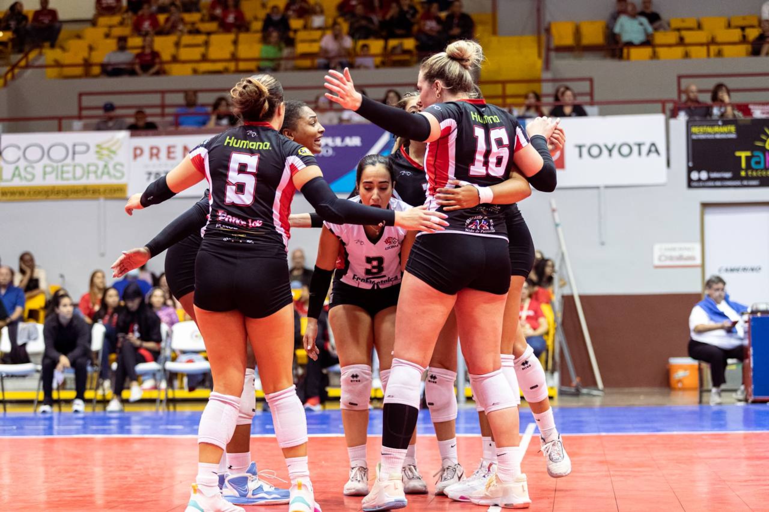 Las Leonas de Ponce estuvieron activas por última ocasión en la liga en el 2023.