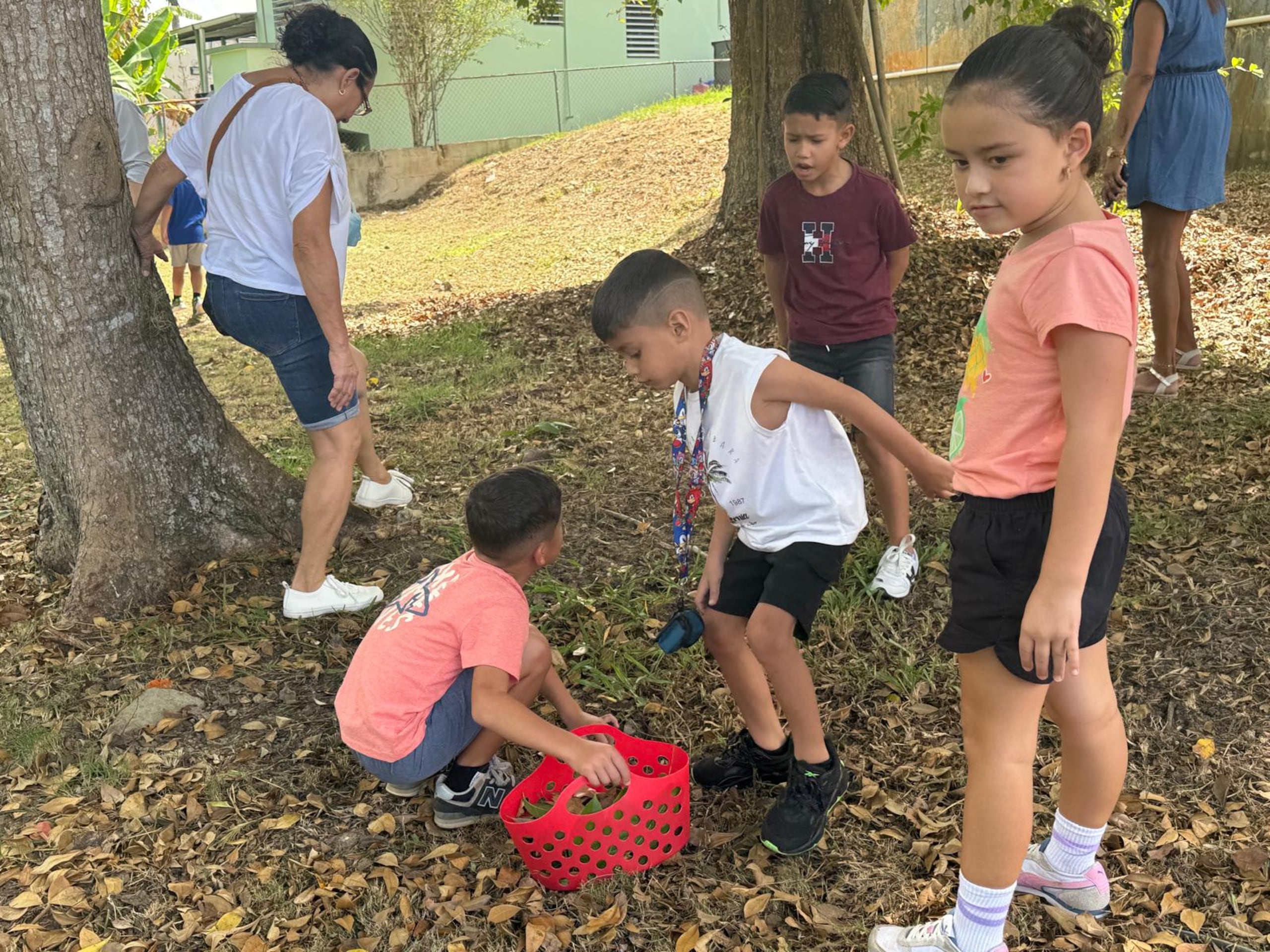 Niños recogen hojas, semillas y otros materiales del patio como parte del taller realizado por el municipio.