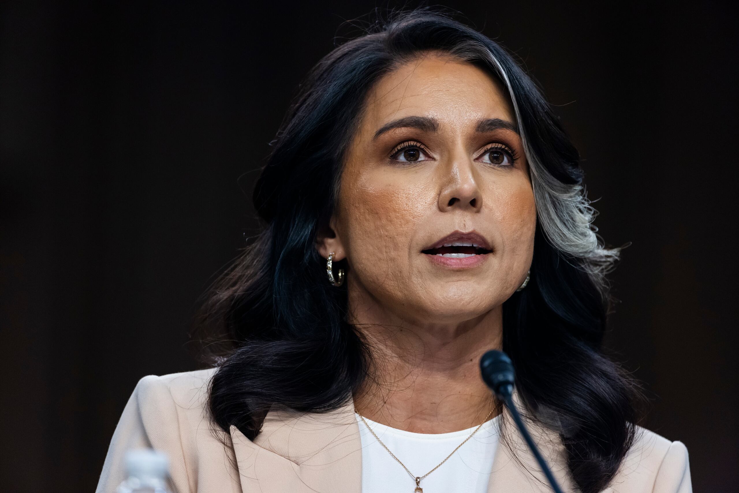 La jefa de gabinete adjunta de Tulsi Gabbard, afirmó en redes sociales que las personas despedidas son “remanentes” de la anterior Administración de Joe Biden, que “politizaron la inteligencia” del país.