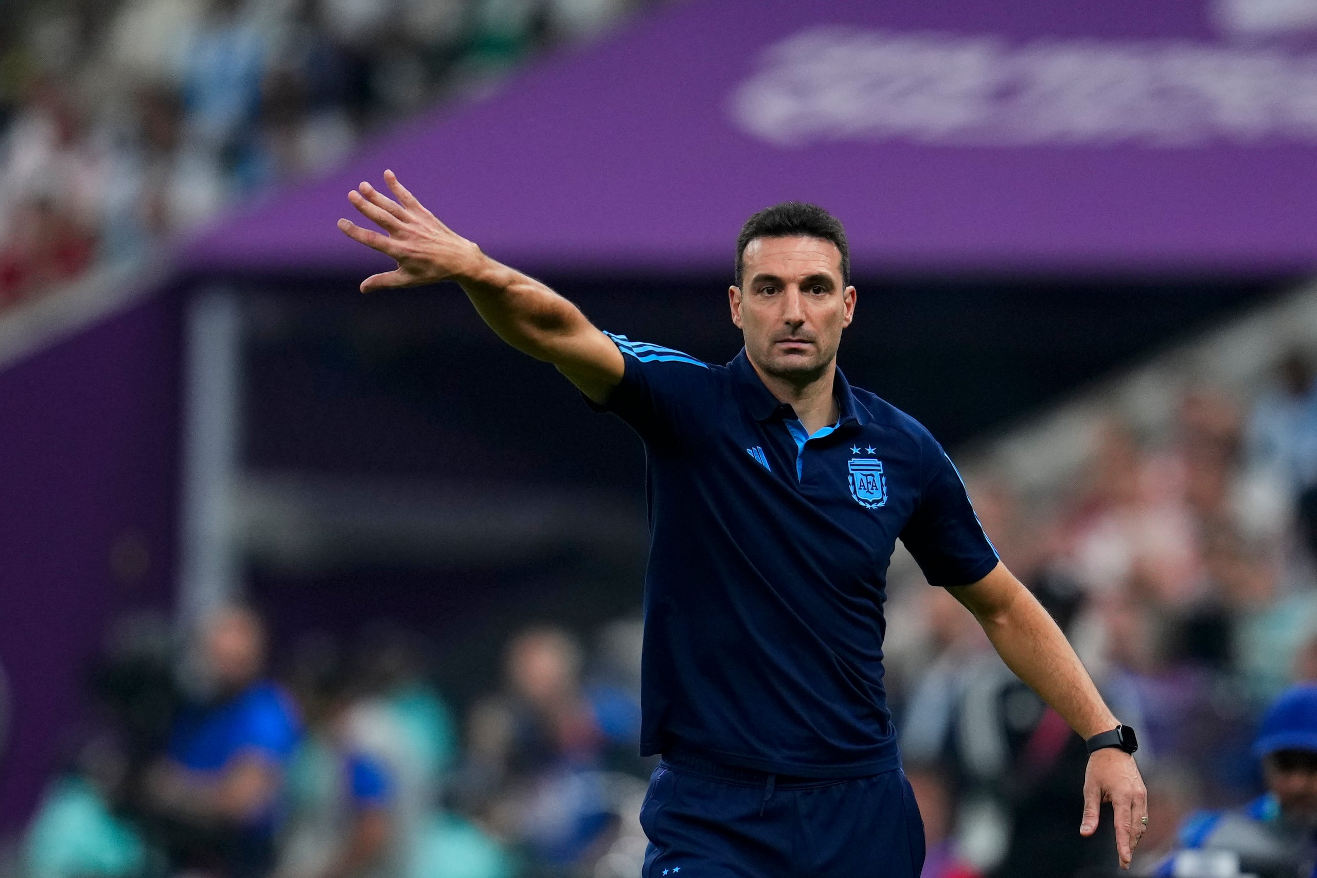 El técnico argentino Lionel Scaloni durante la semifinal ante Croacia por la Copa Mundial.