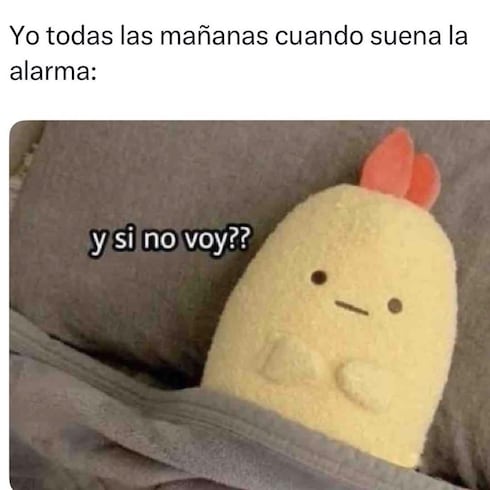 Los mejores memes de la semana