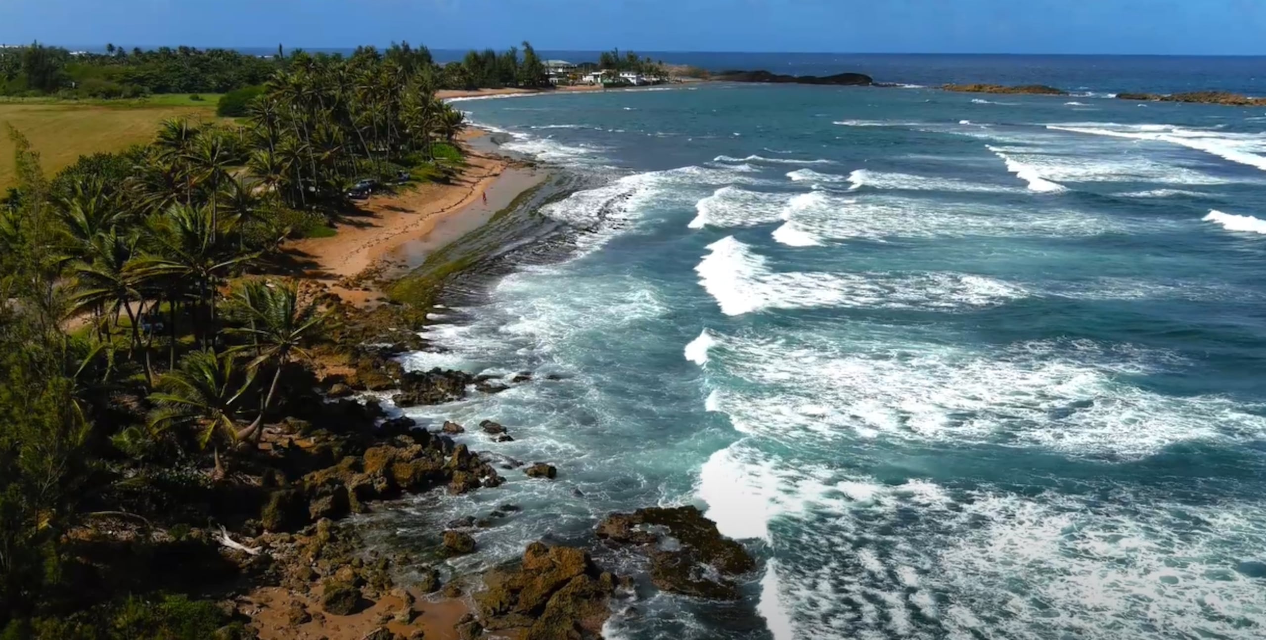 El crimen se reportó en la playa Cibuco de Vega Baja.