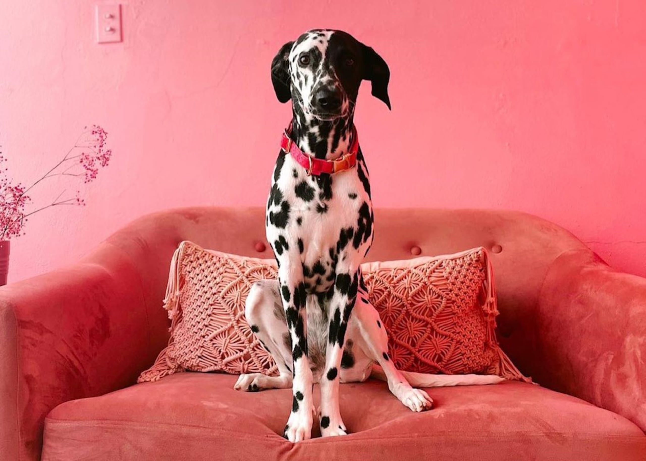 Durante una semana habrá ofertas y descuentos en restaurantes participantes.