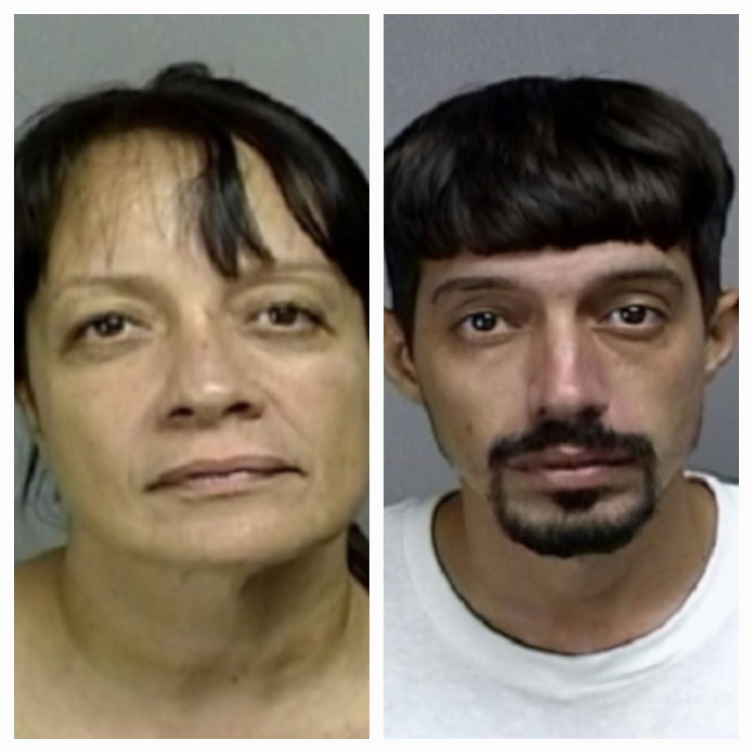 José Ramírez Osorio y su madre Janeida E. Osorio Sánchez, enfrentan cargos de maltrato a una persona de edad avanzada, alteración a la paz e incitación a la violencia.
