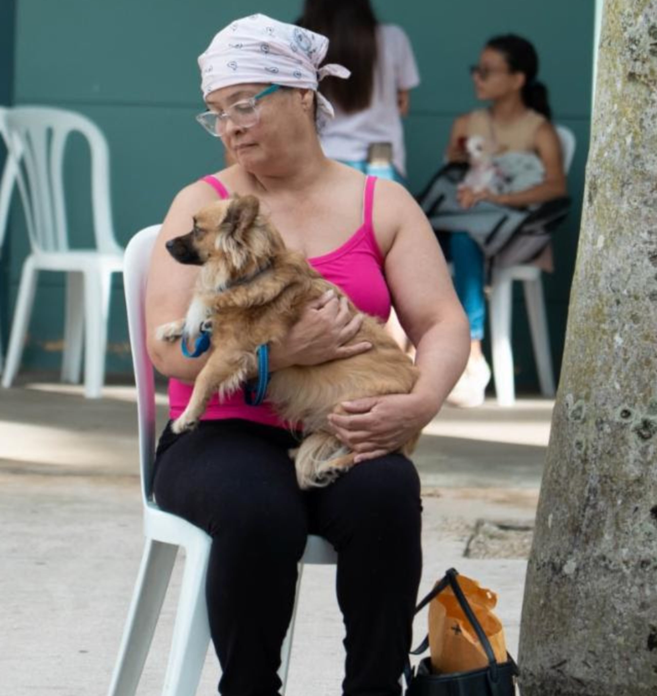 La ciudadanía aprovechó para llevar a sus queridos peludos.
