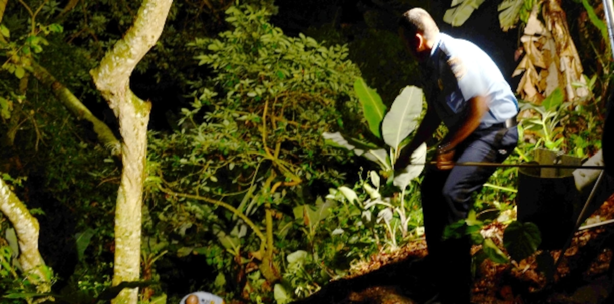 Los cuerpos de la pareja fueron rescatados de un risco de 60 pies. Al cierre de esta edición, se hacían gestiones para sacar el vehículo. Para Primera Hora / Edgar Vázquez Colón