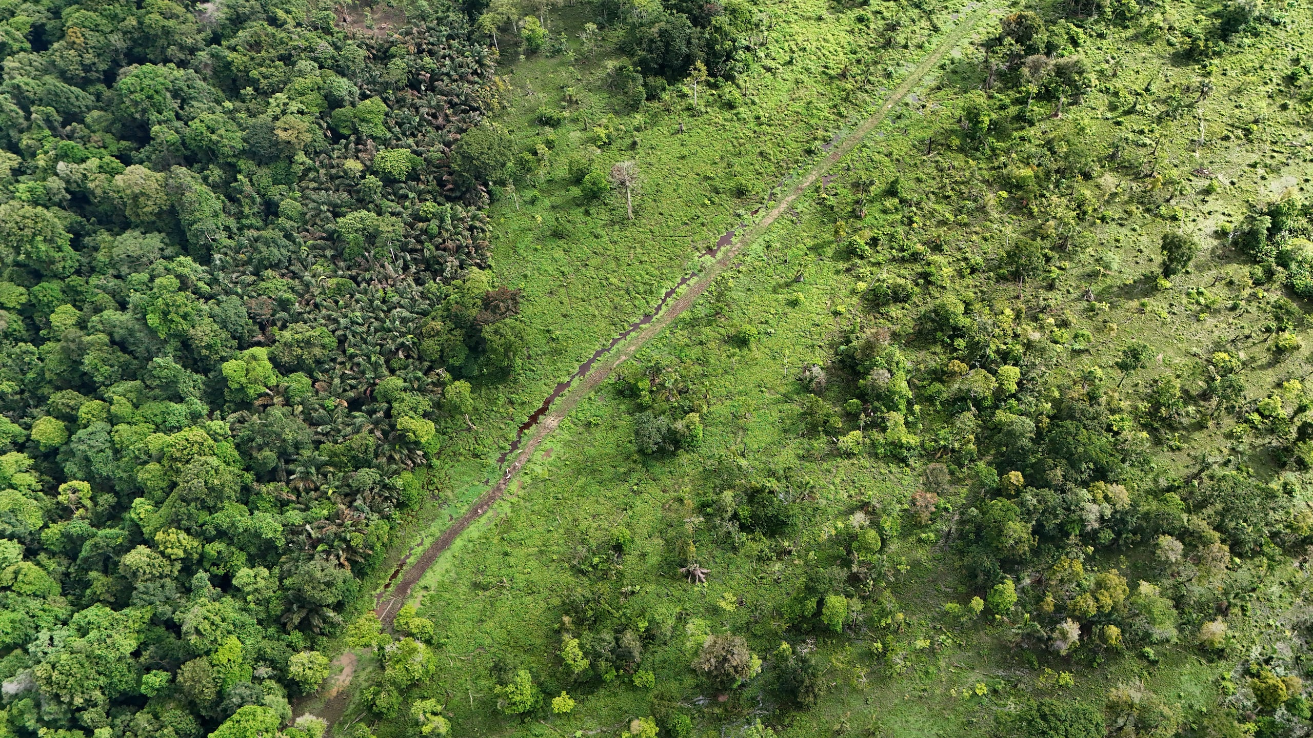 La Nación Costa Rica / GDA