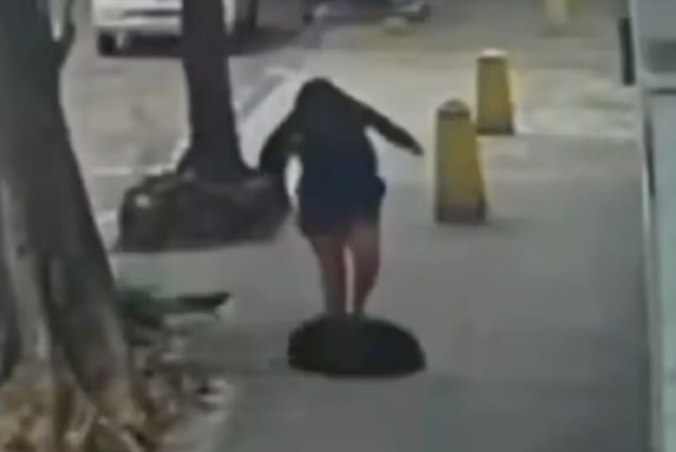 La mujer sufrió lesiones en la frente, los brazos, las piernas, el pecho y la espalda.