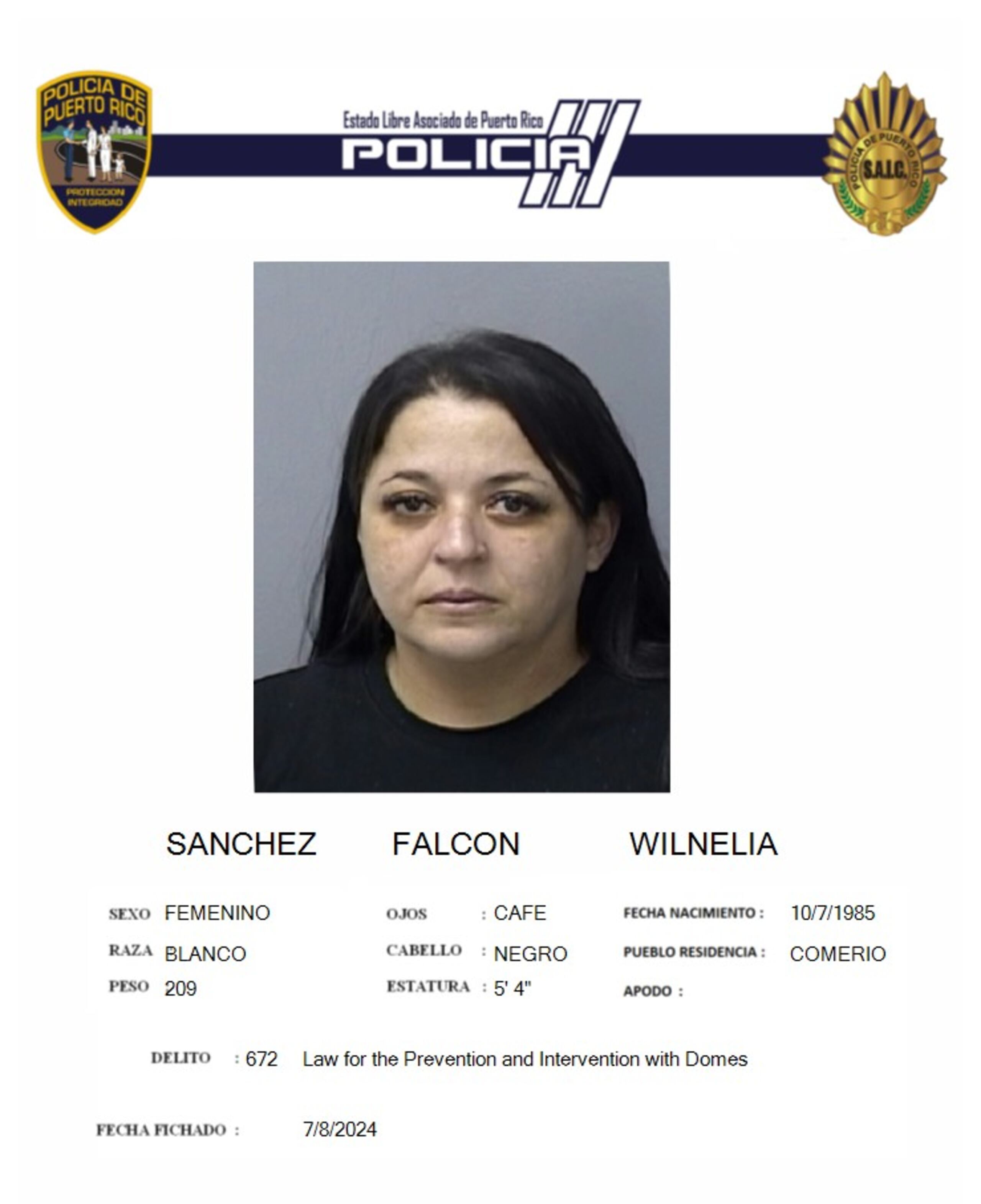 Wilnelia Sánchez Falcón fue encarcelada al no prestar la fianza.