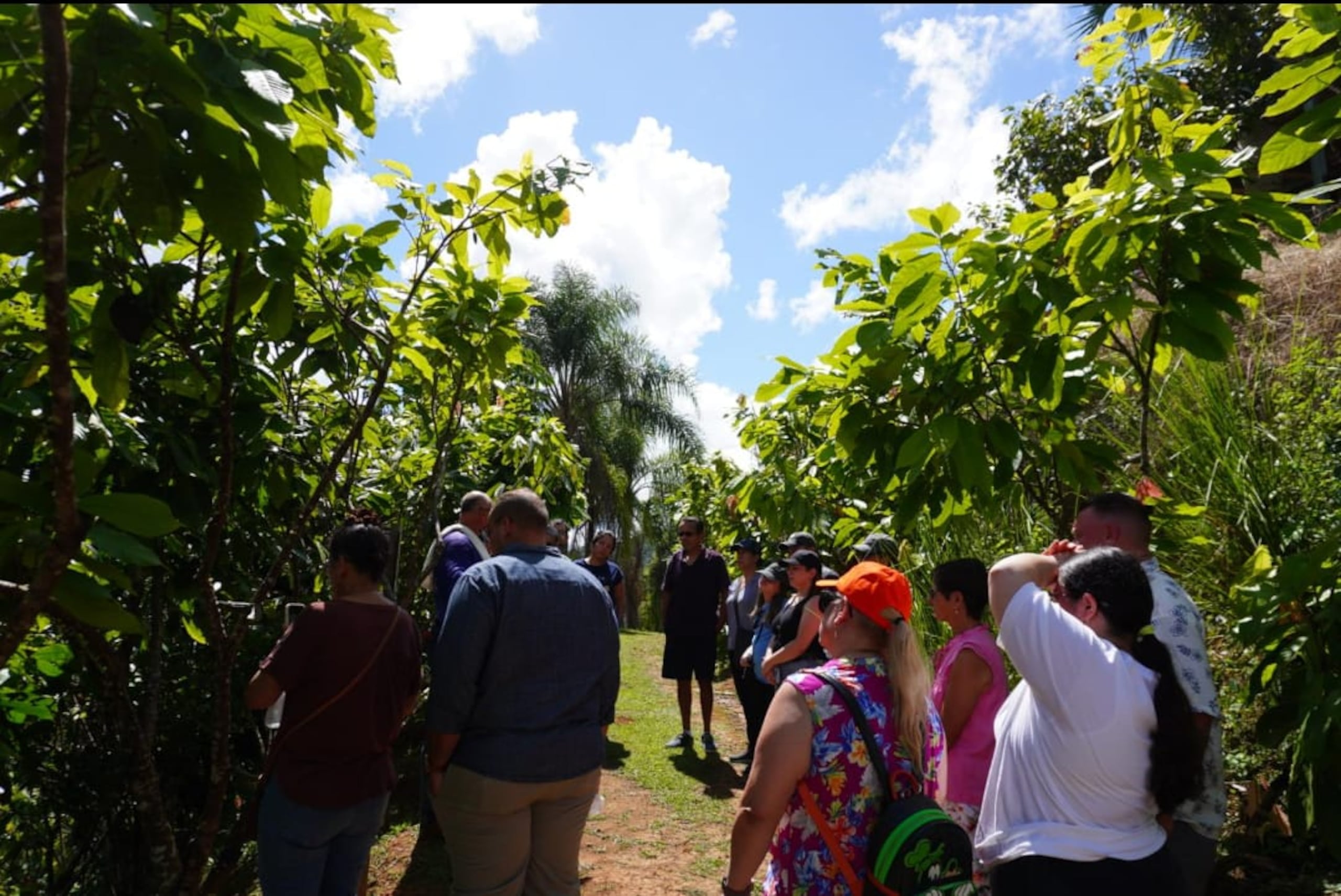 Rodríguez explicó que los recorridos que ofrece en su hacienda, los hace sin límite de tiempo para que los visitantes puedan satisfacer su curiosidad sobre el cacao, relajarse y disfrutar de la naturaleza.
