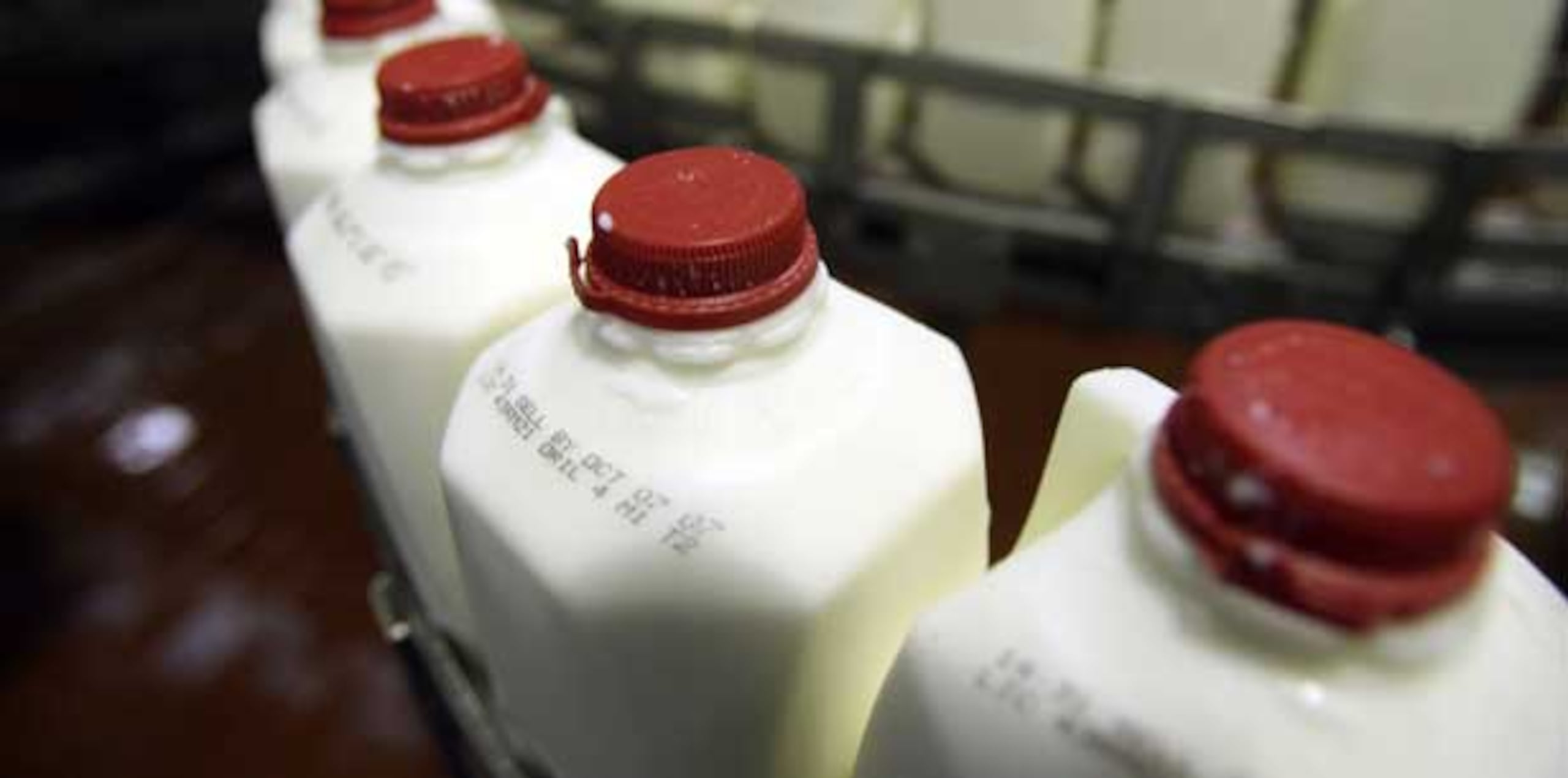 Ramón González Beiró negó que su renuncia se debiera a la reciente polémica suscitada por un posible aumento en el precio de la leche. (Archivo)