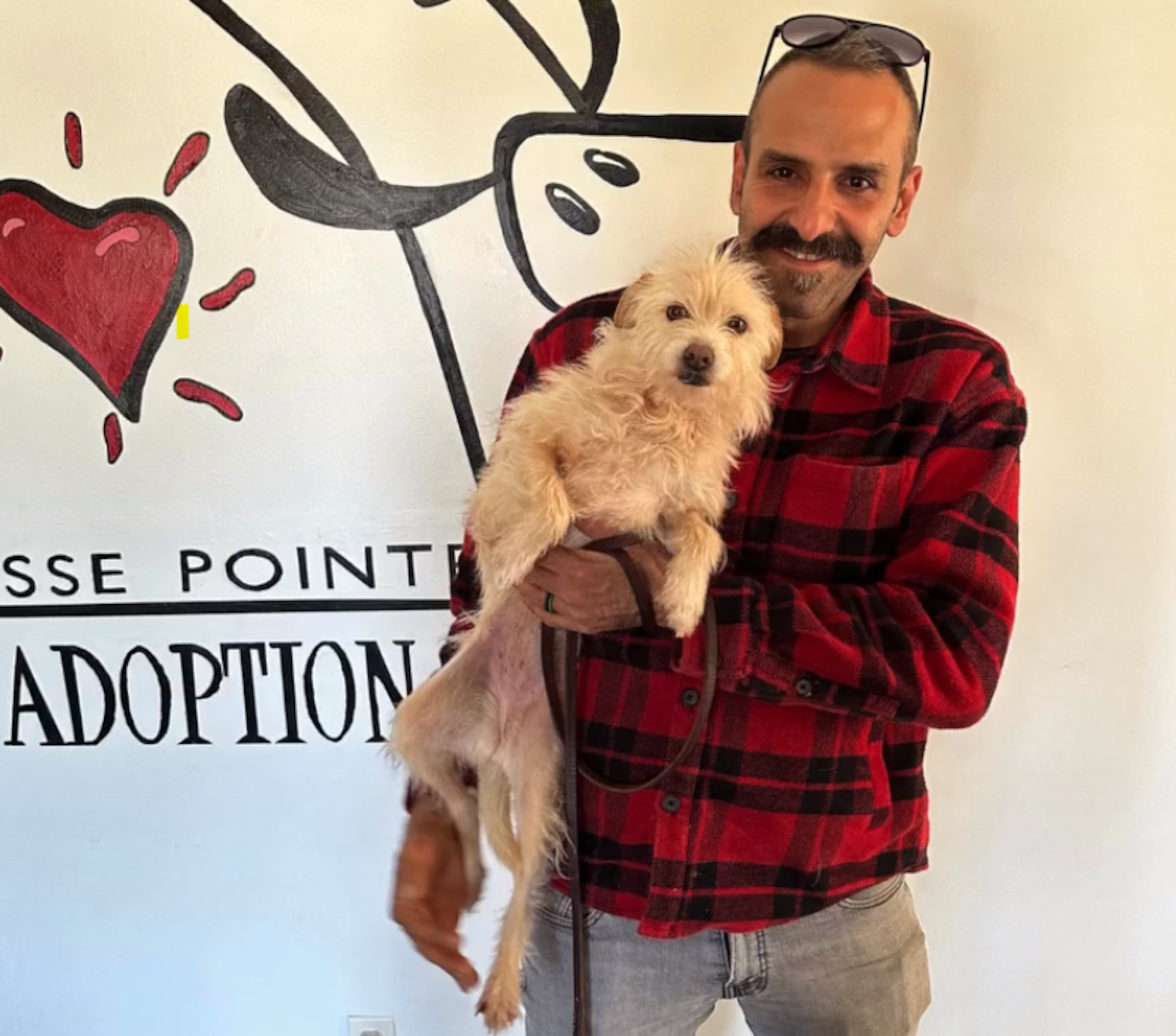 Mehrad Houman condujo 10 horas hasta Michigan para reencontrarse con Mishka.