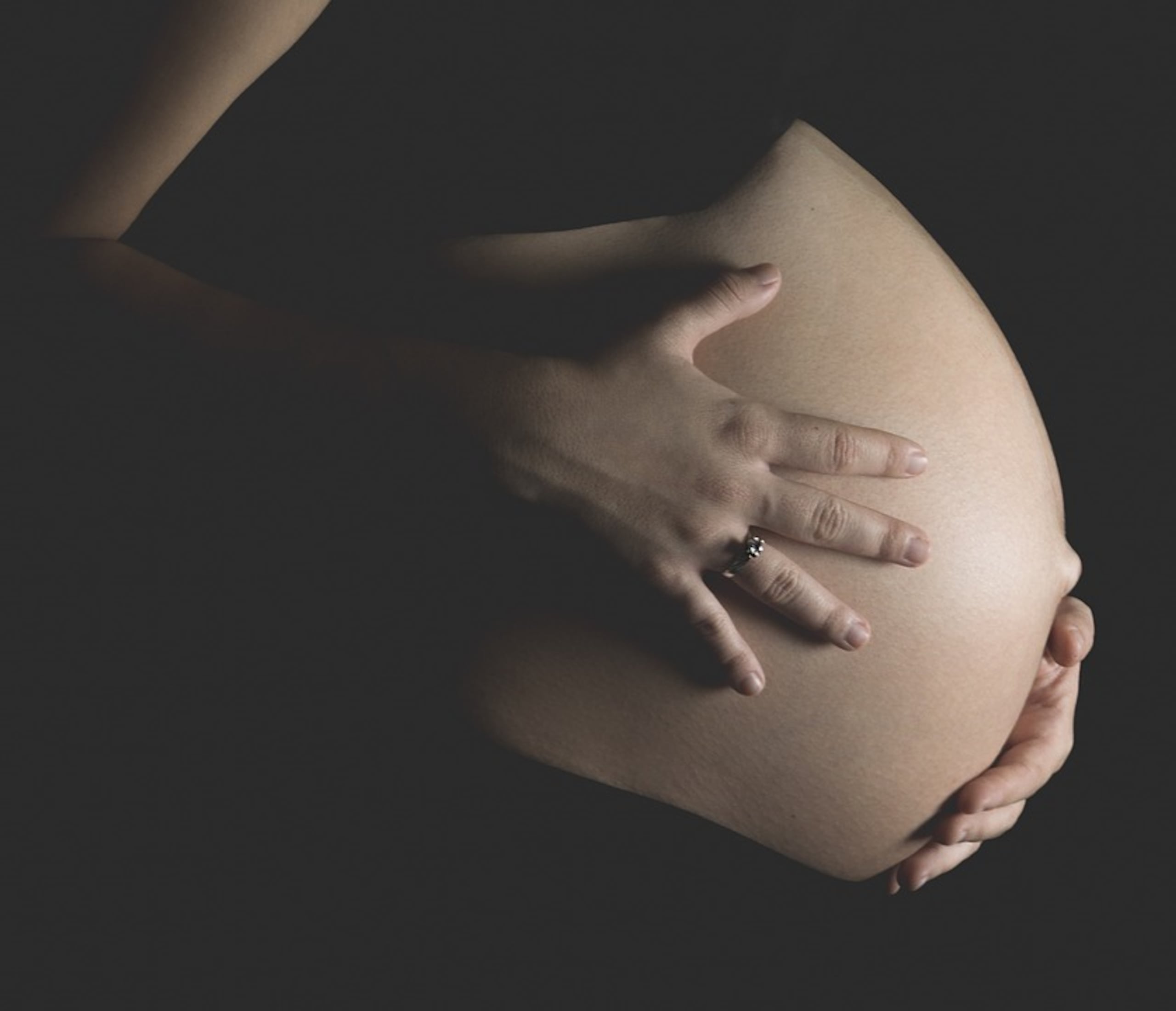 La investigación demostró que la obesidad durante el embarazo se asocia con defectos congénitos en el corazón y en el sistema nervioso de los hijos. (Pixabay)