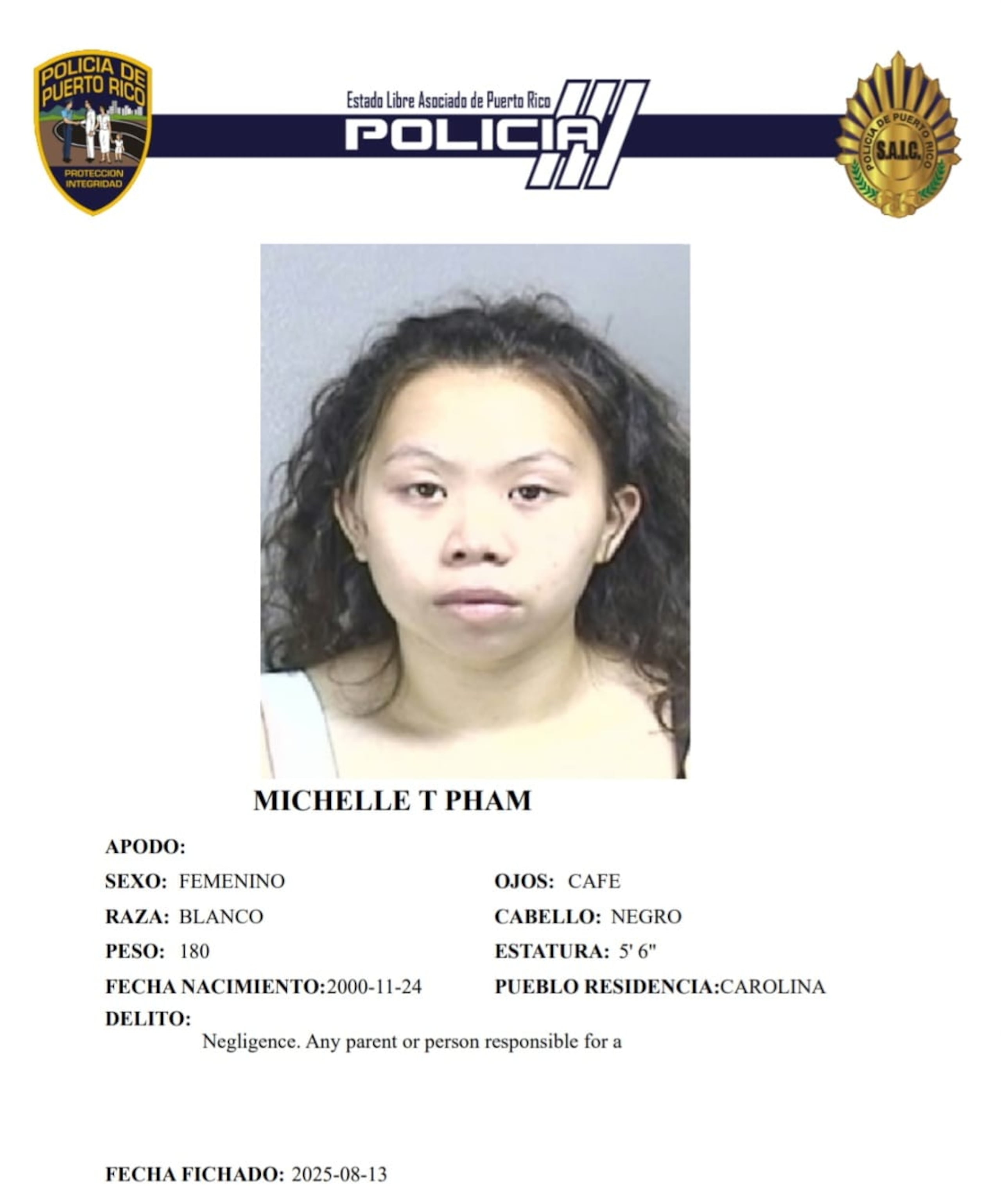 Michelle T. Pham, fue acusada por un cargo de maltrato de menores por negligencia.