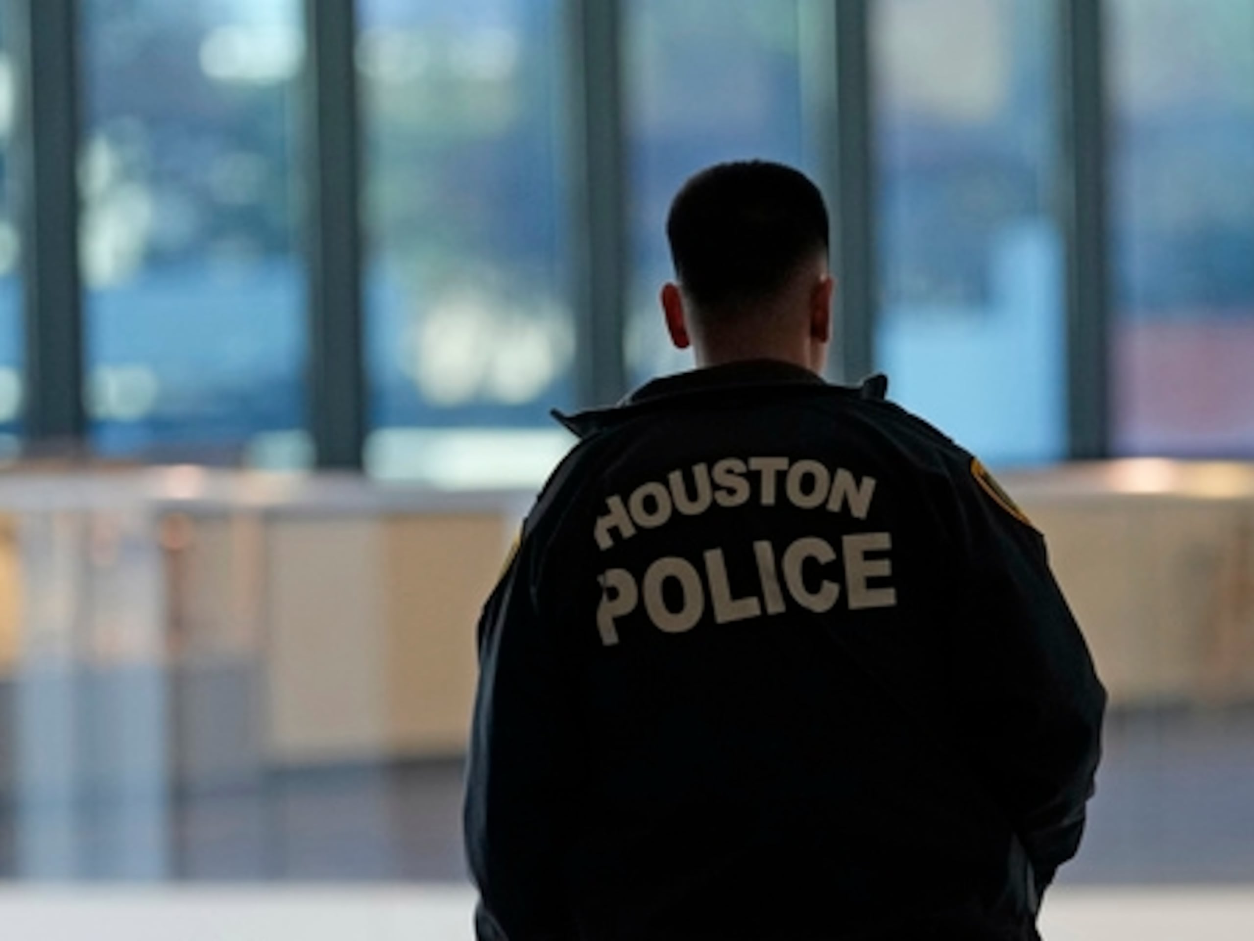 (AP Photo/David J. Phillip)