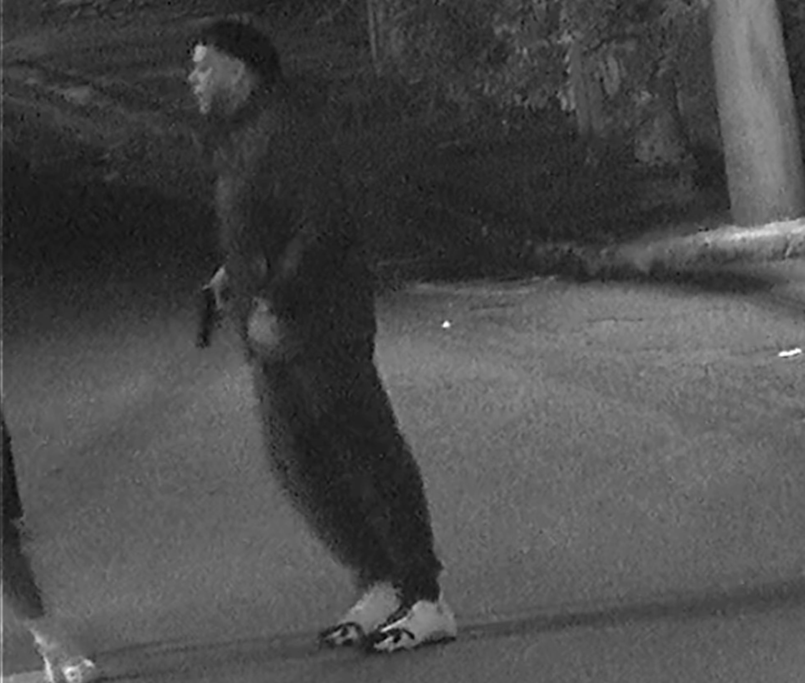 Si posee información que ayude a identificar a la persona que aparece en la foto, llame a la línea confidencial de la Policía de Puerto Rico al (787) 343-2020 o a la Comandancia de Bayamón al teléfono (787) 269-2424 extensiones 1610 y 3030.
