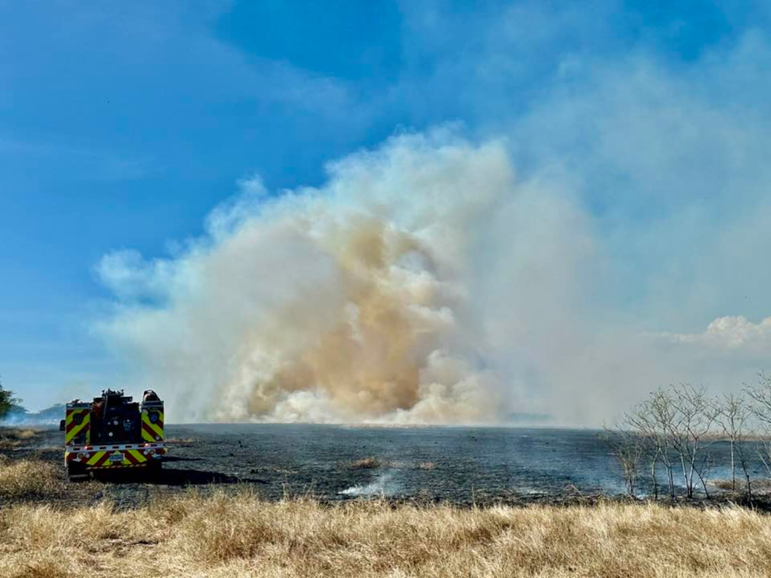 Bomberos de Lajas y otras estaciones cercanas, así como personal de Manejo de Emergencias, llegaron al lugar y lograron controlar el fuego.