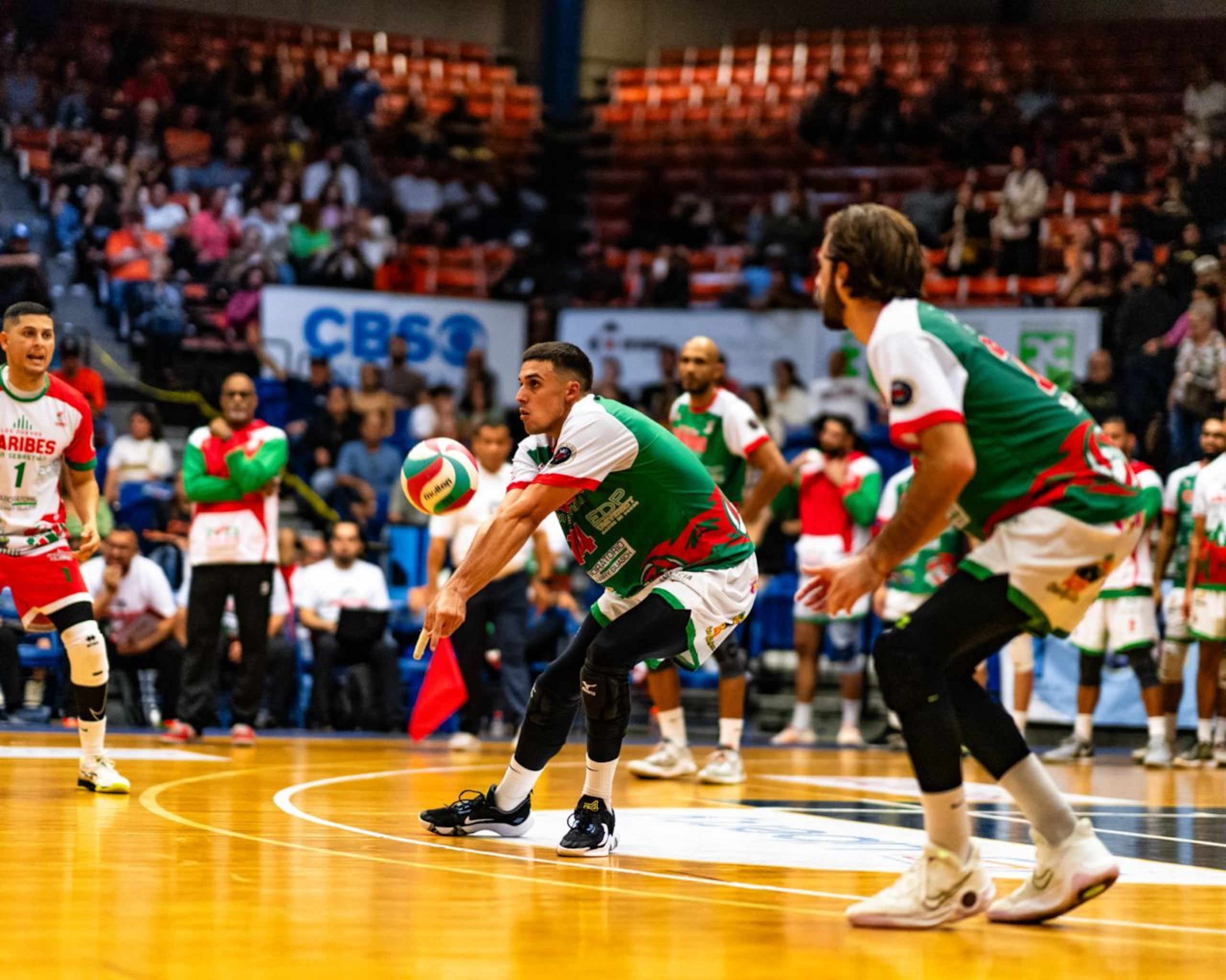 Pelegrín Vargas hijo, de los Caribes de San Sebastián, se convirtió este año en el primer jugador desde 1975 que gana el premio de Jugador Más Valioso y Novato del Año.