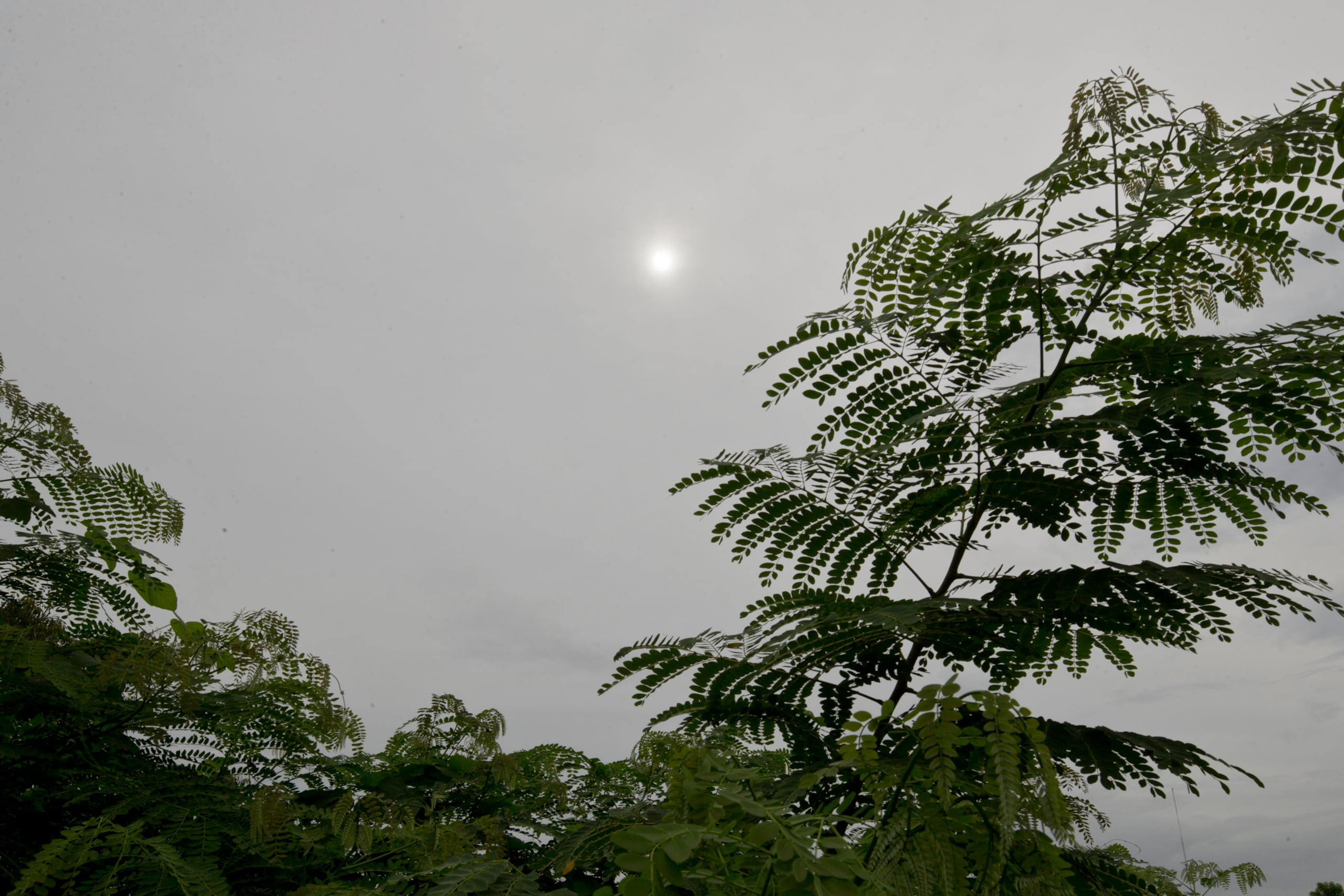 El Servicio Nacional de Meteorología explicó que la humedad aumentó debido a la fuerte radiación solar que azota después del paso de los aguaceros asociados a una onda tropical.