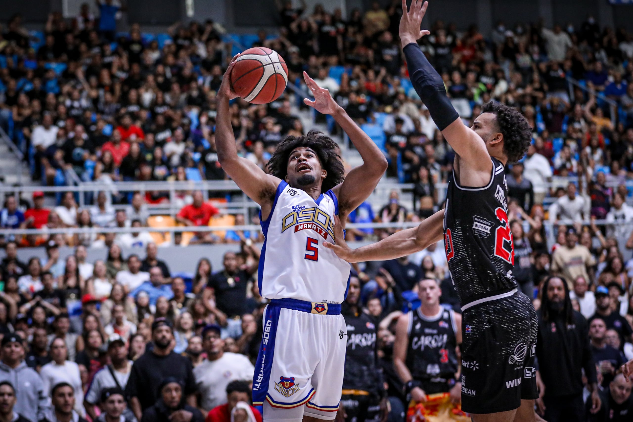 Ethan Thompson estuvo en uniforme por los Osos el domingo, y aportó 17 puntos en favor de la victoria.