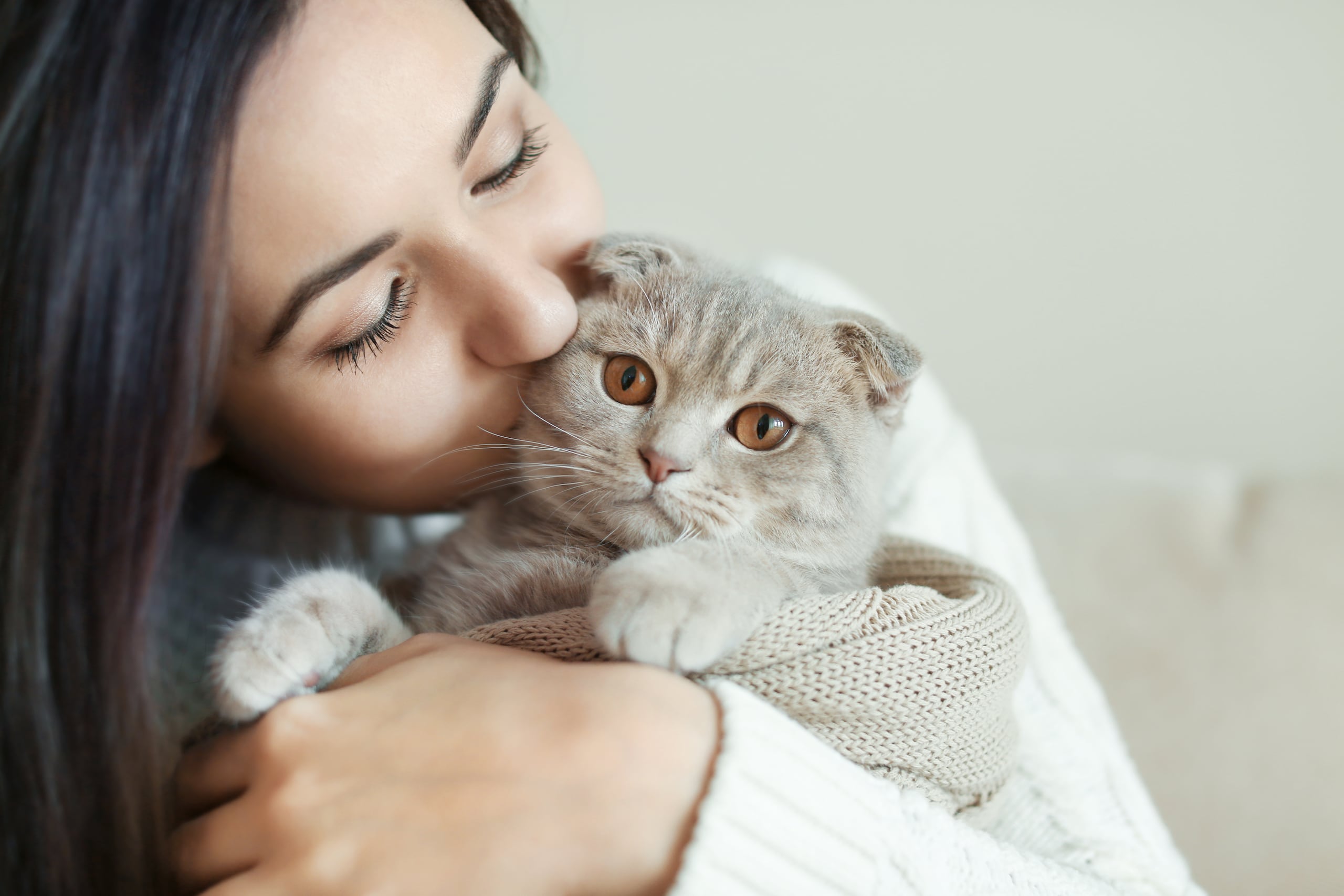 La mayoría de los gatos usan a los humanos como fuente de consuelo. (Shutterstock)