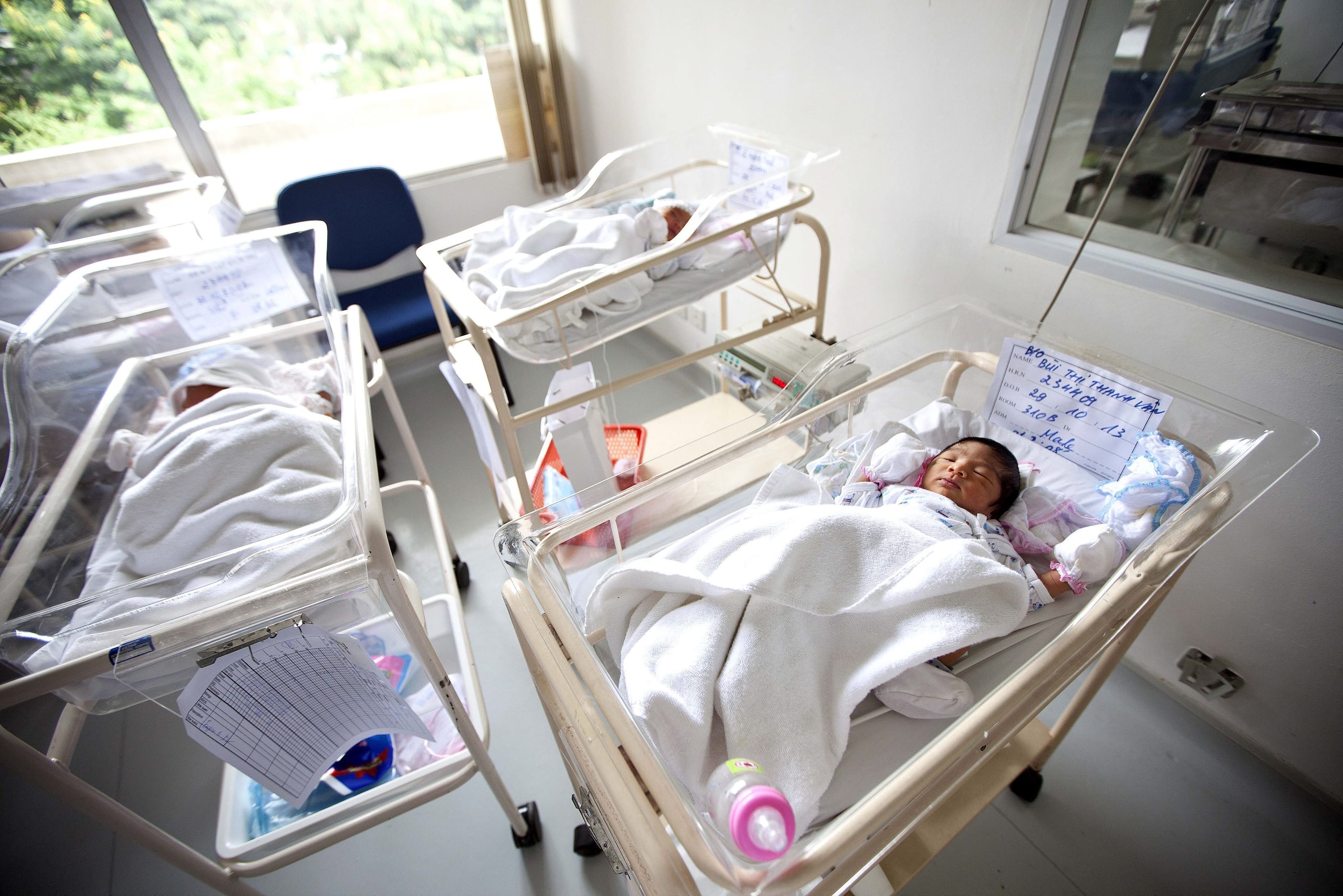 La muerte de los neonatos habría ocurrido más de 15 días atrás en el Hospital Universitario de Guayaquil, 265 kilómetros (165 millas) al suroeste de la capital.