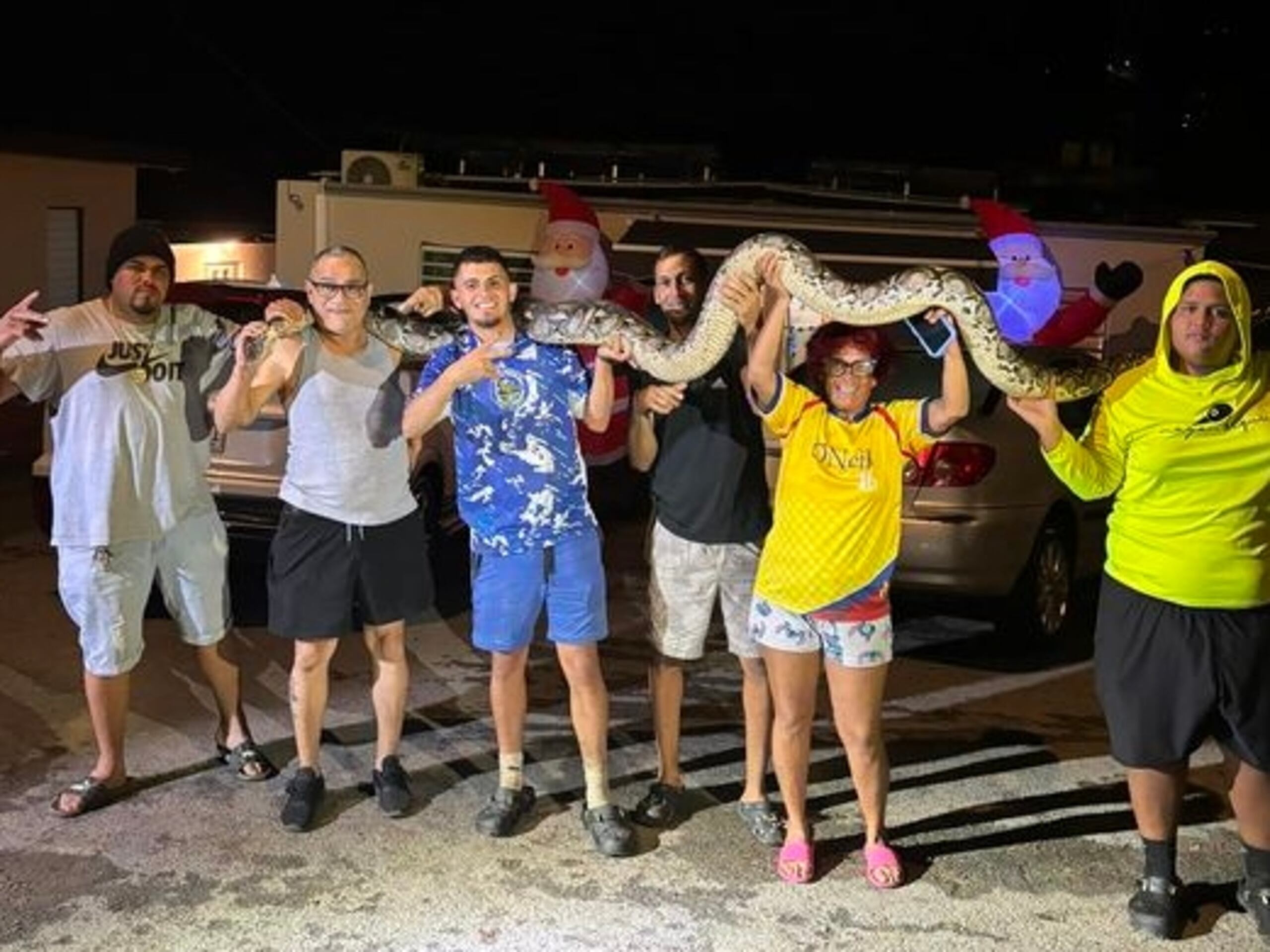 La enorme pitón reticulada fue capturada en La Marqueza en Guaynabo.