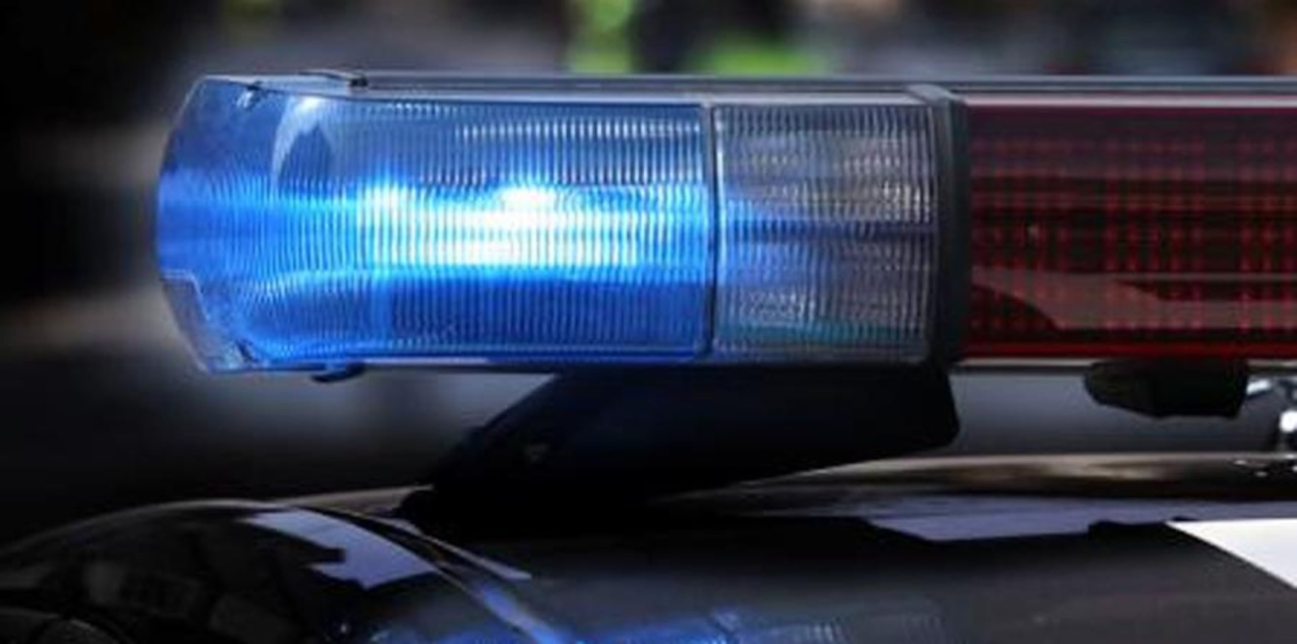 El can fue sedado por agentes de la unidad canina de la policía de Nueva York. (Archivo/ GFR Media)