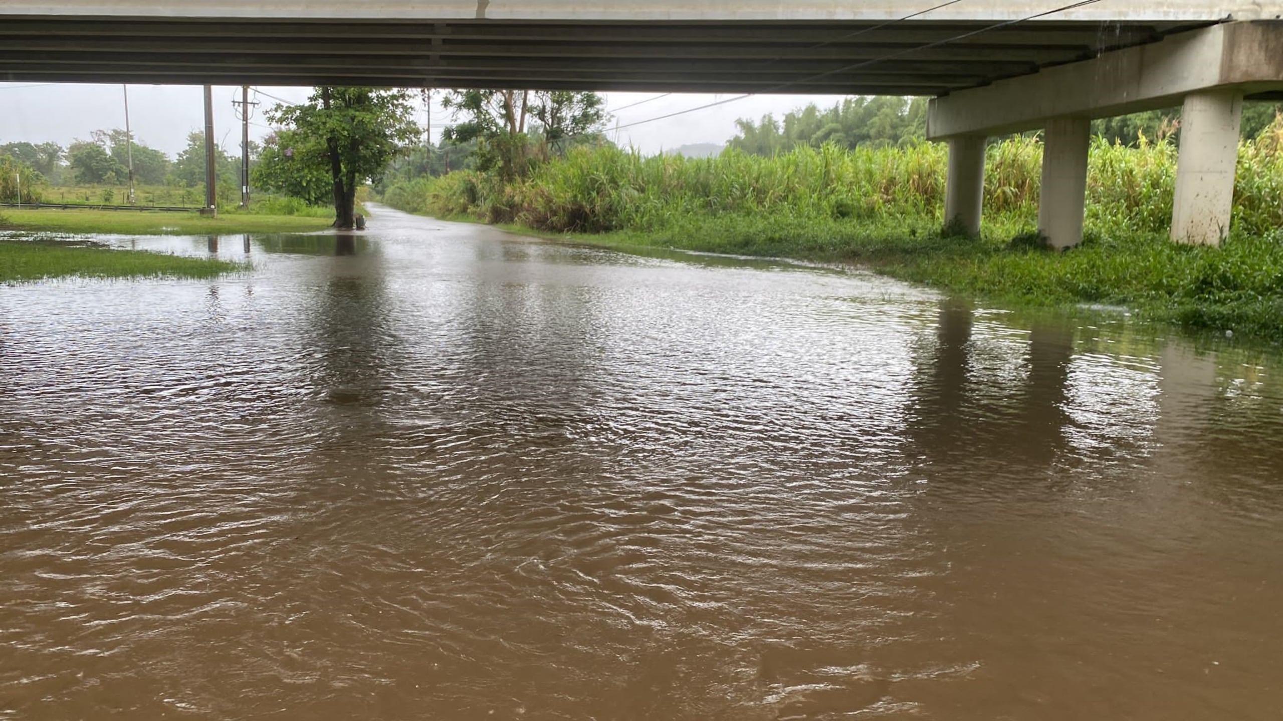 Imagen de archivo de una carretera inundada en Naguabo. (GFR Media)