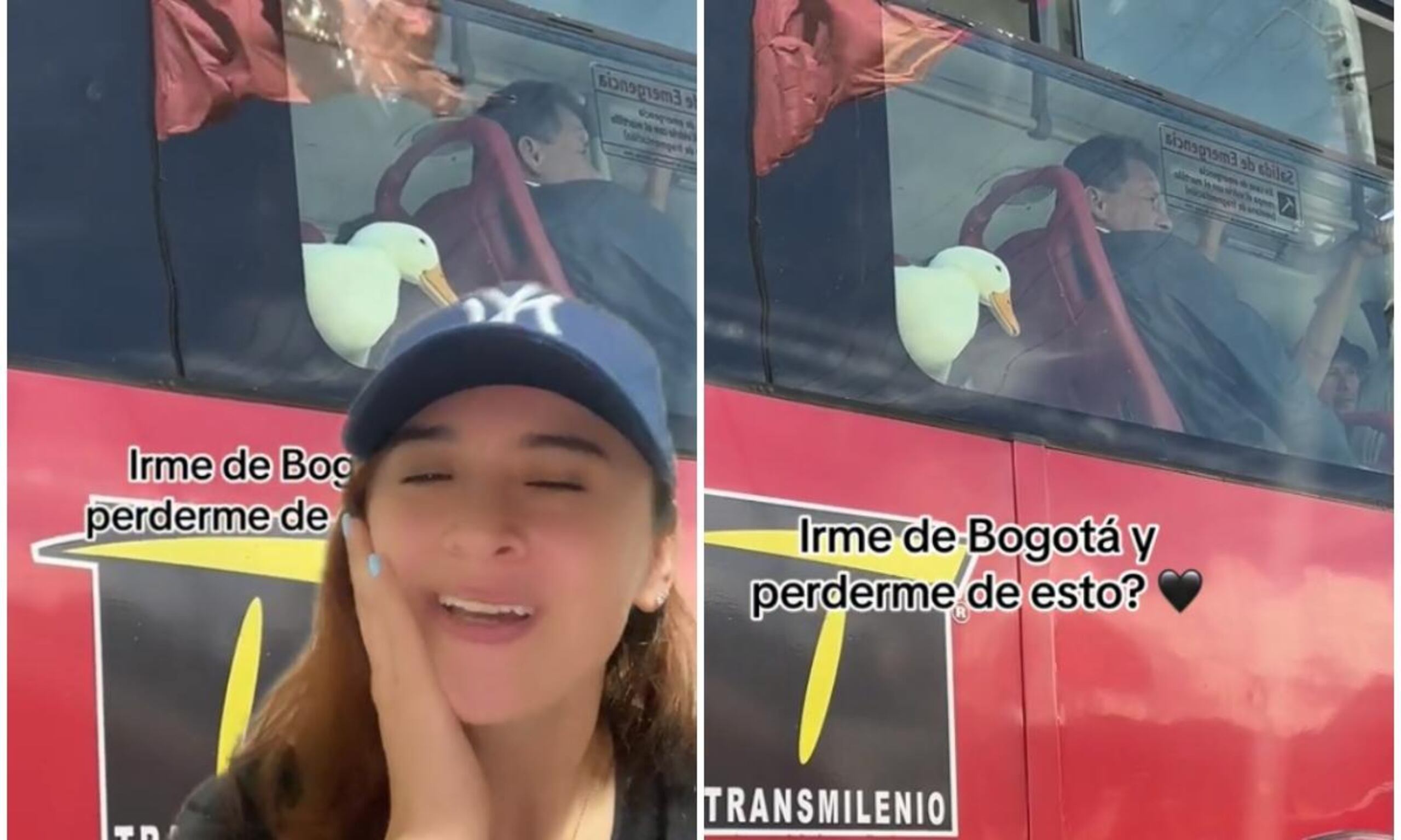 El video se volvió viral, consiguiendo sobre 229 mil visualizaciones, 39 mil me gusta y más de 314 comentarios.