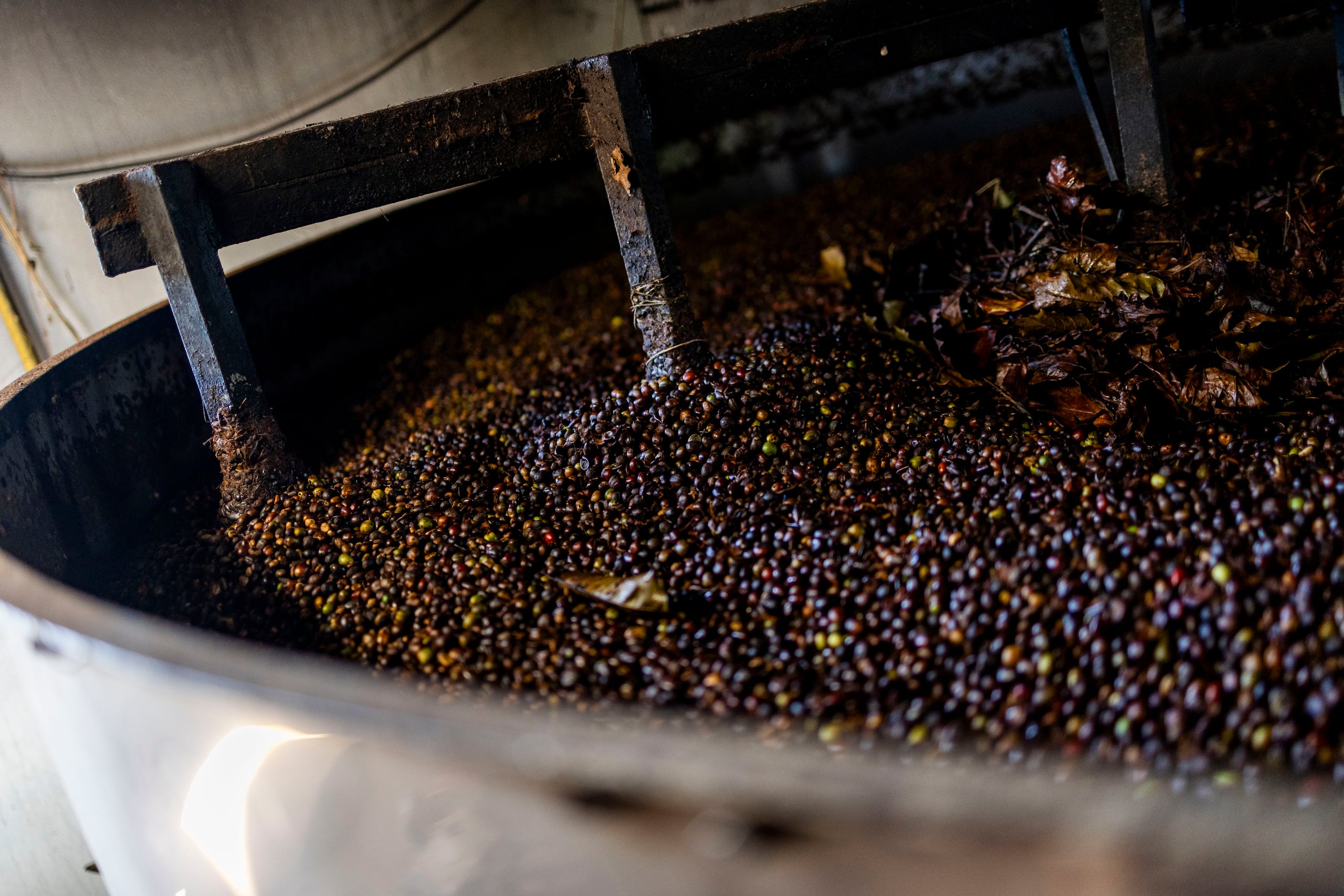 En el 2012, nació un nuevo producto para brindarle la oportunidad a otro mercado puertorriqueño, Aromas del Cafetal.