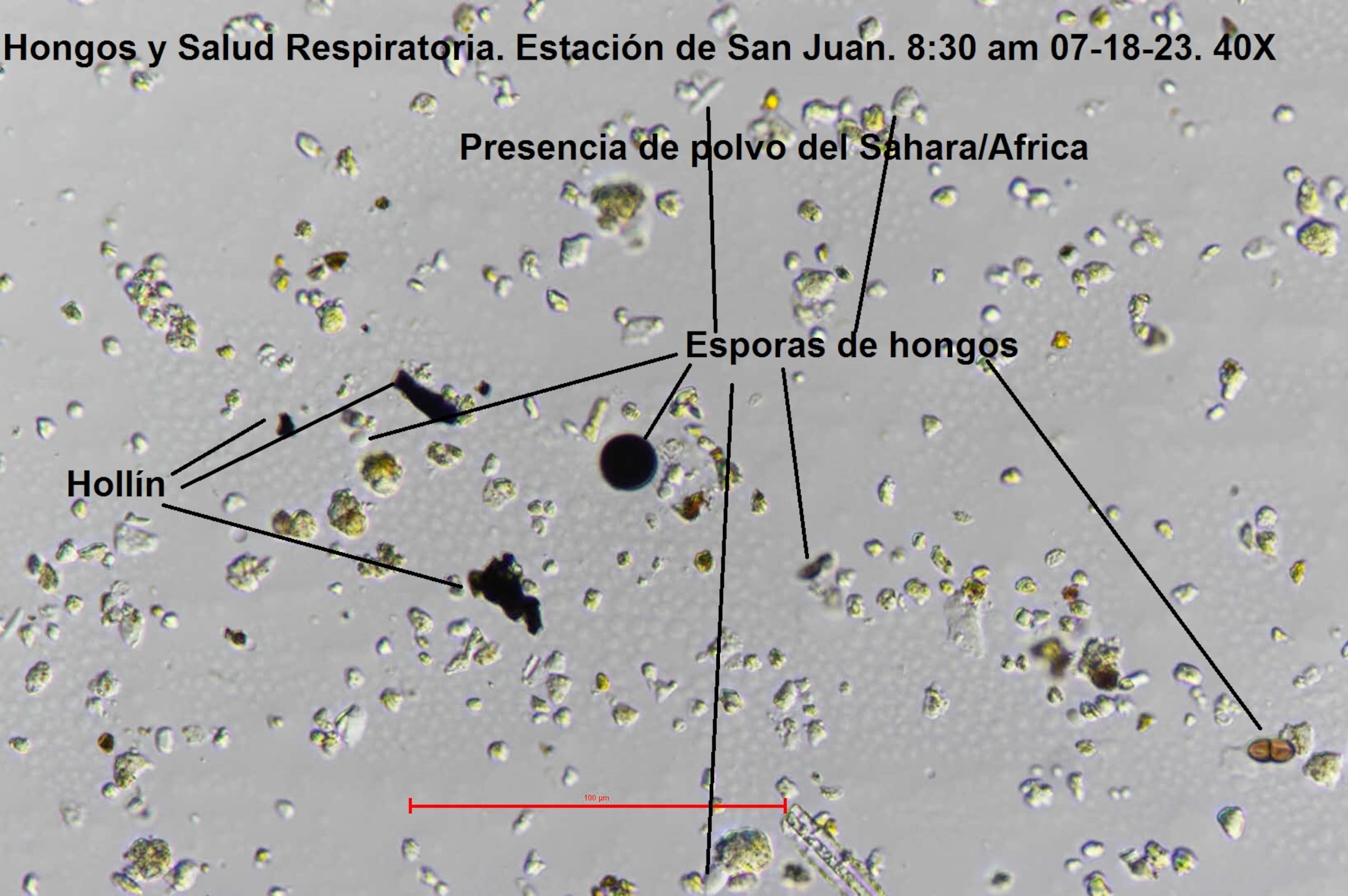 Presencia de polvo de El Sahara. (RCM)