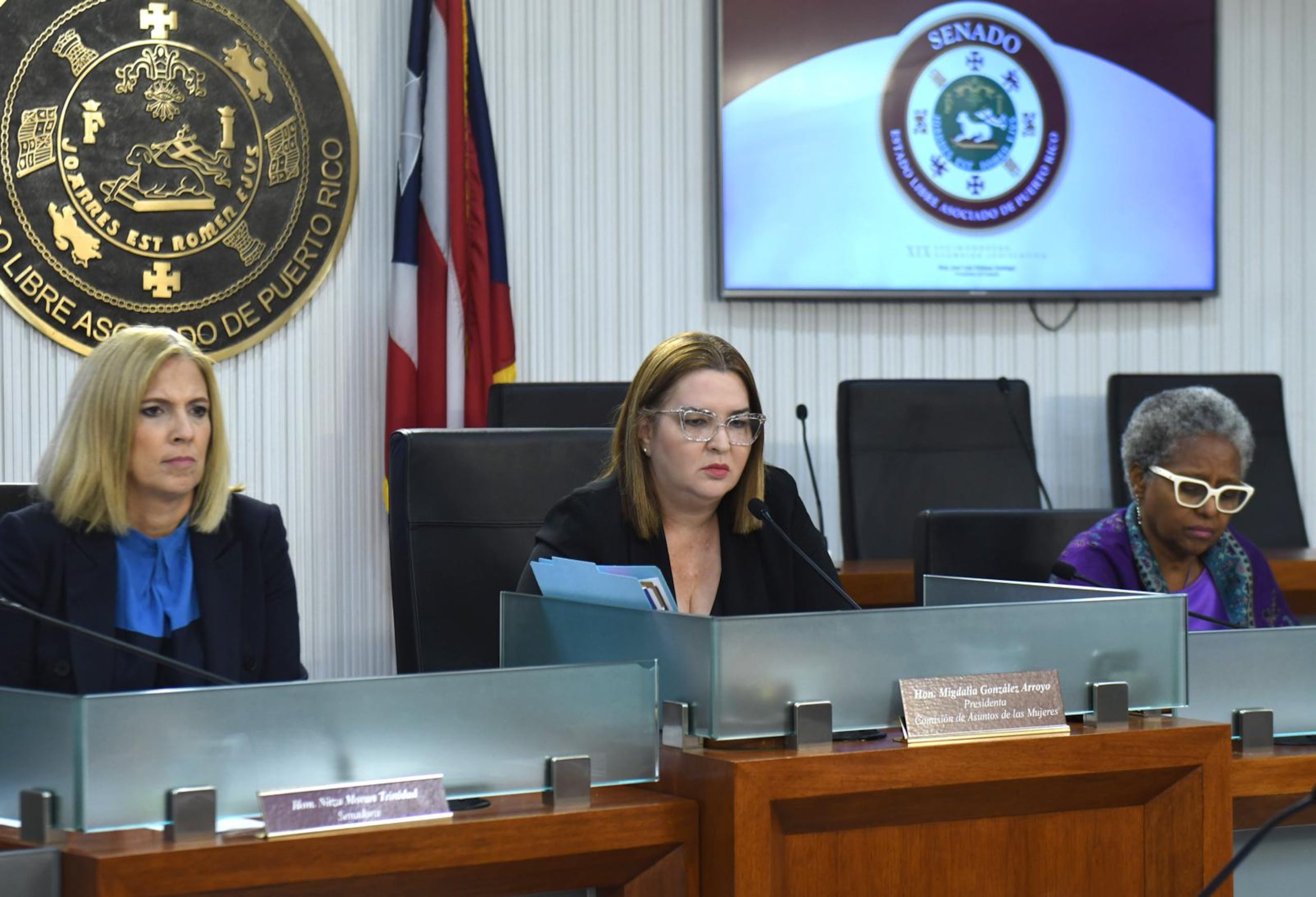 La Comisión de Asuntos de las Mujeres analiza medida para reducir a 24 horas el término para realizar vistas en alzada en casos de Ley 54.