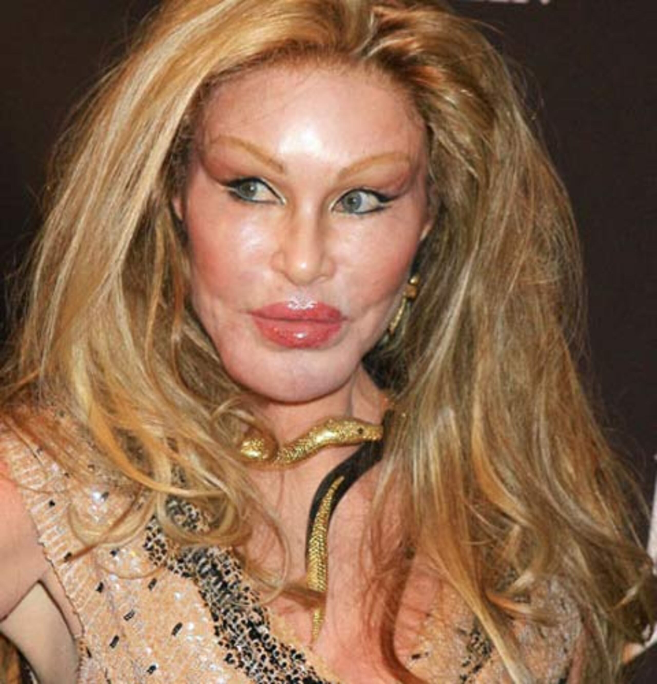 Jocelyn Wildenstein: Así quedó la ex del millonario Alec Wildenstein después de invertir $4 millones en cirugías.