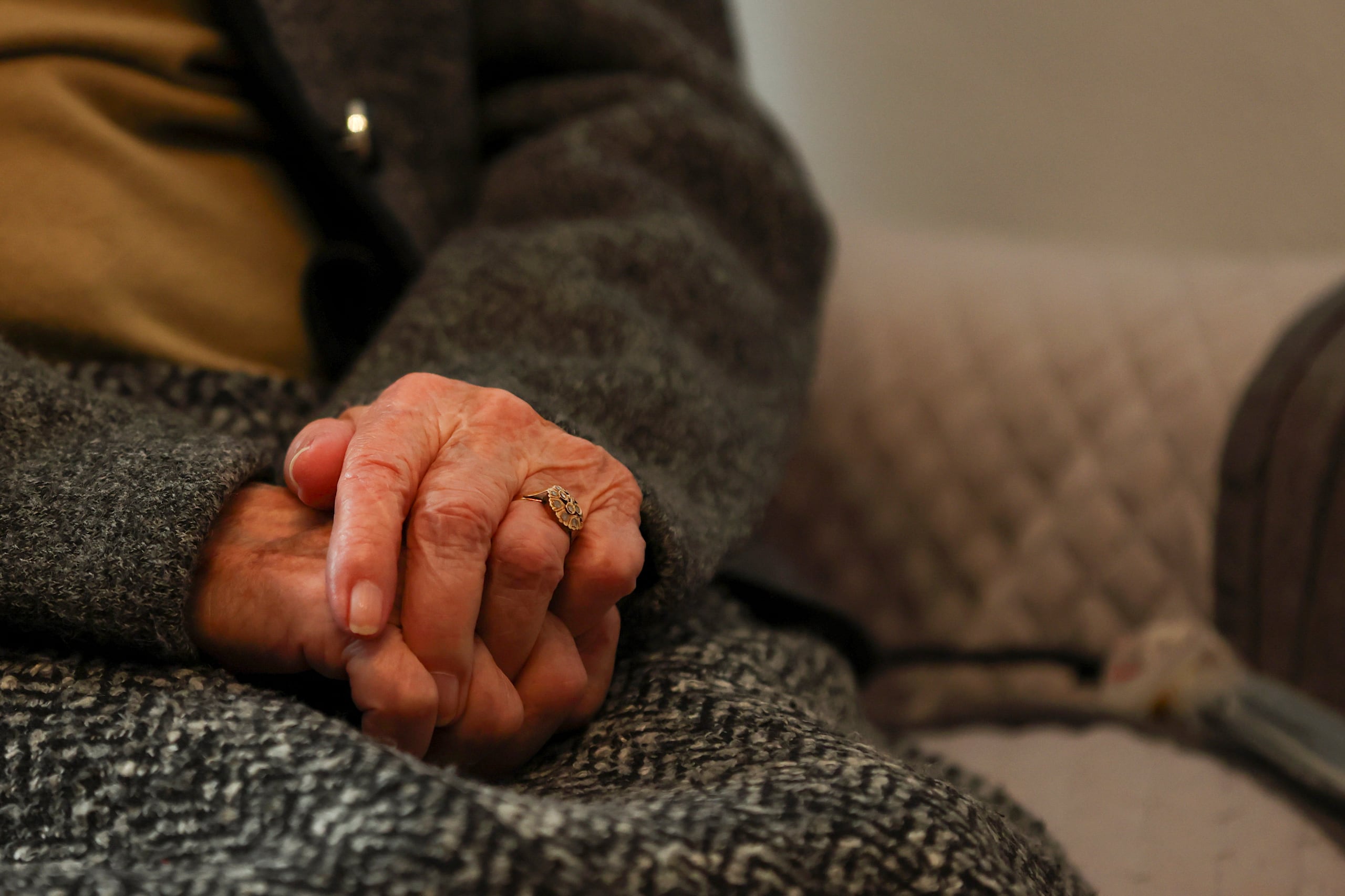 Las autoridades investigan la querella radicada por la mujer de 79 años. (Archivo)