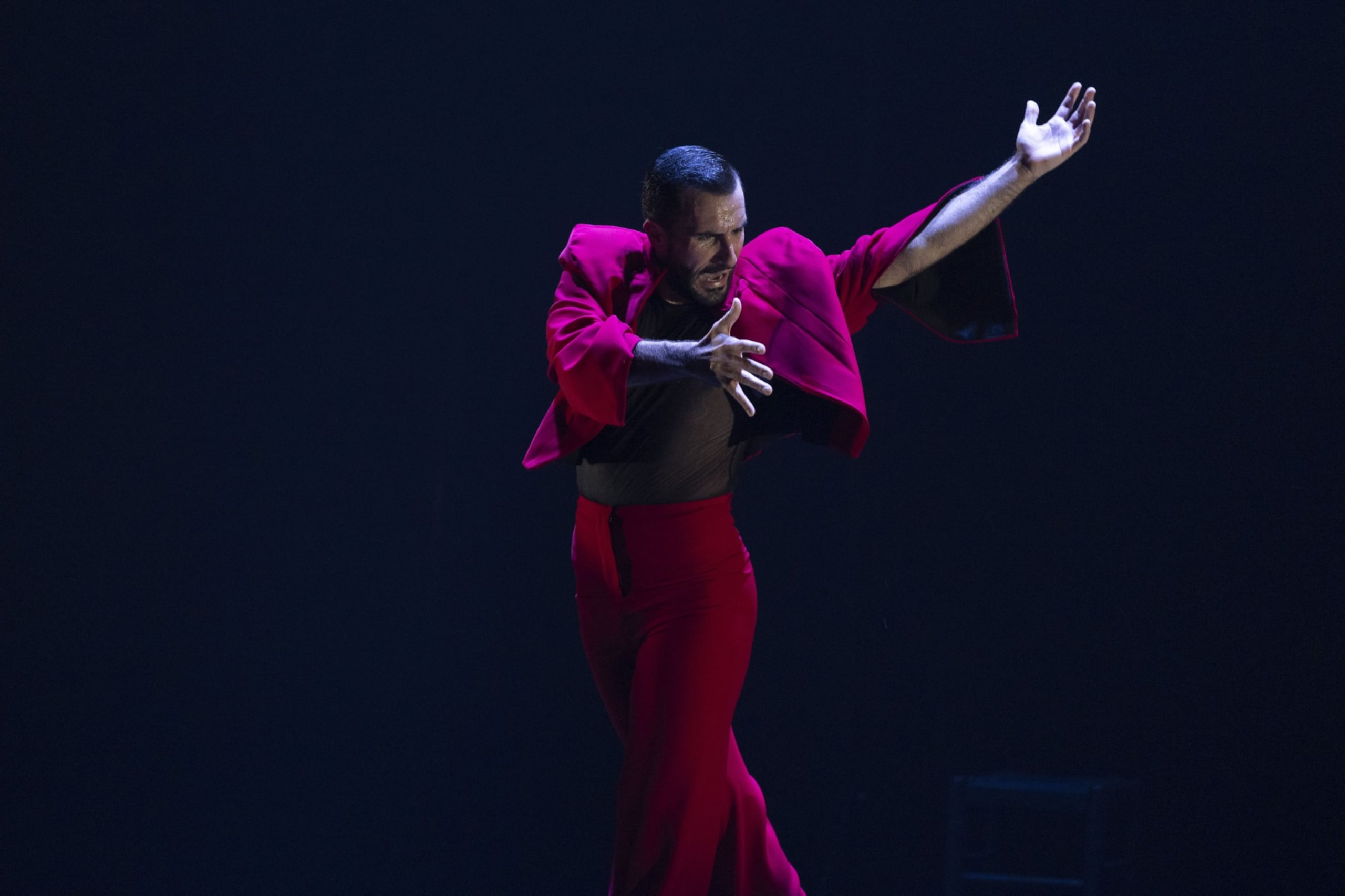 El espectáculo rinde homenaje al trabajo del bailaor Antonio Gaudes y el cineasta Carlos Saura.