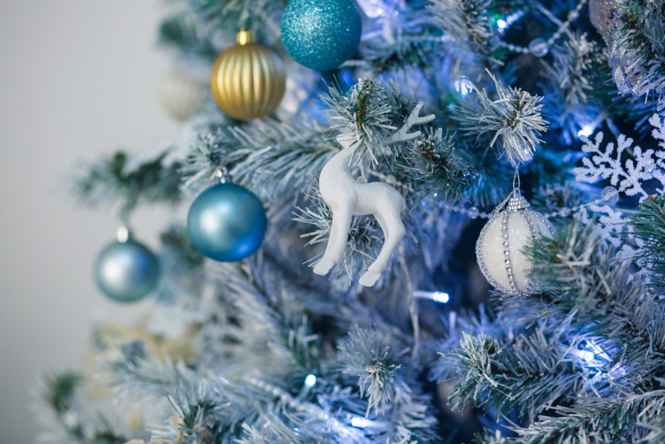 Estos son algunos colores para la Navidad en 2025.