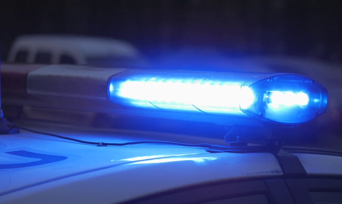 They steal dozens of luxury portfolios from a residence in Dorado Beach
