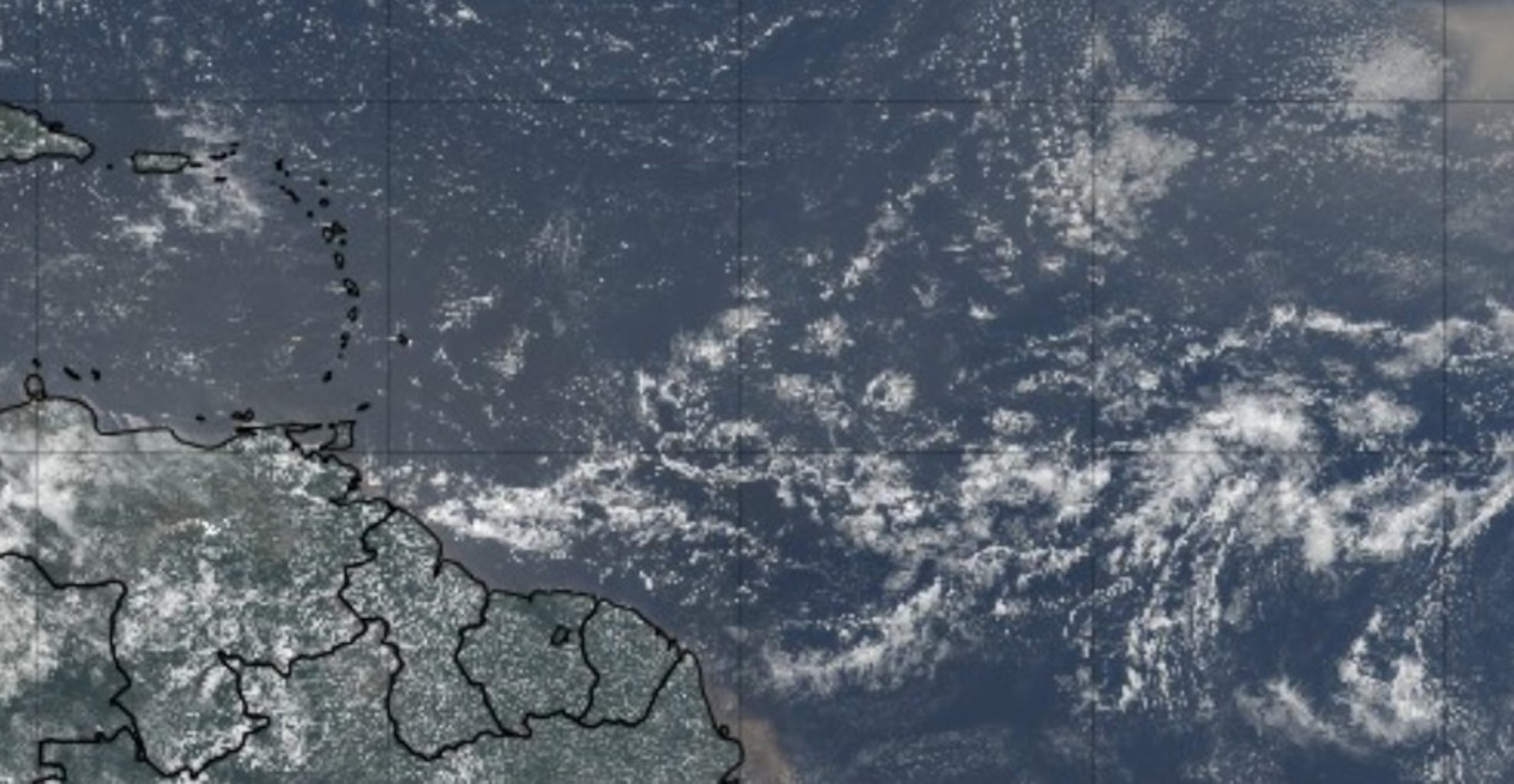 Imagen del trópico.