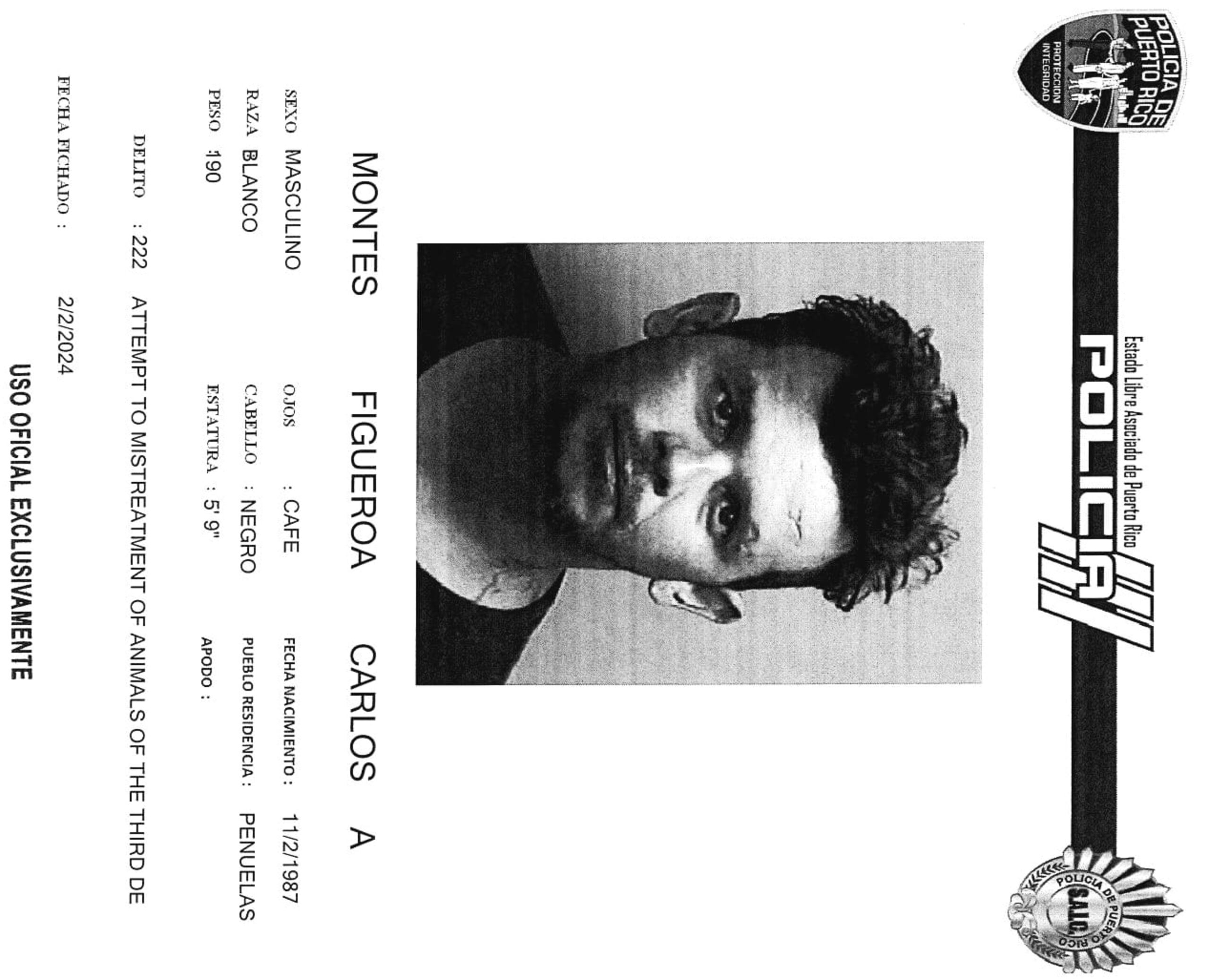 Carlos A. Montes Figueroa enfrenta cargos por violencia de género y maltrato de animales.