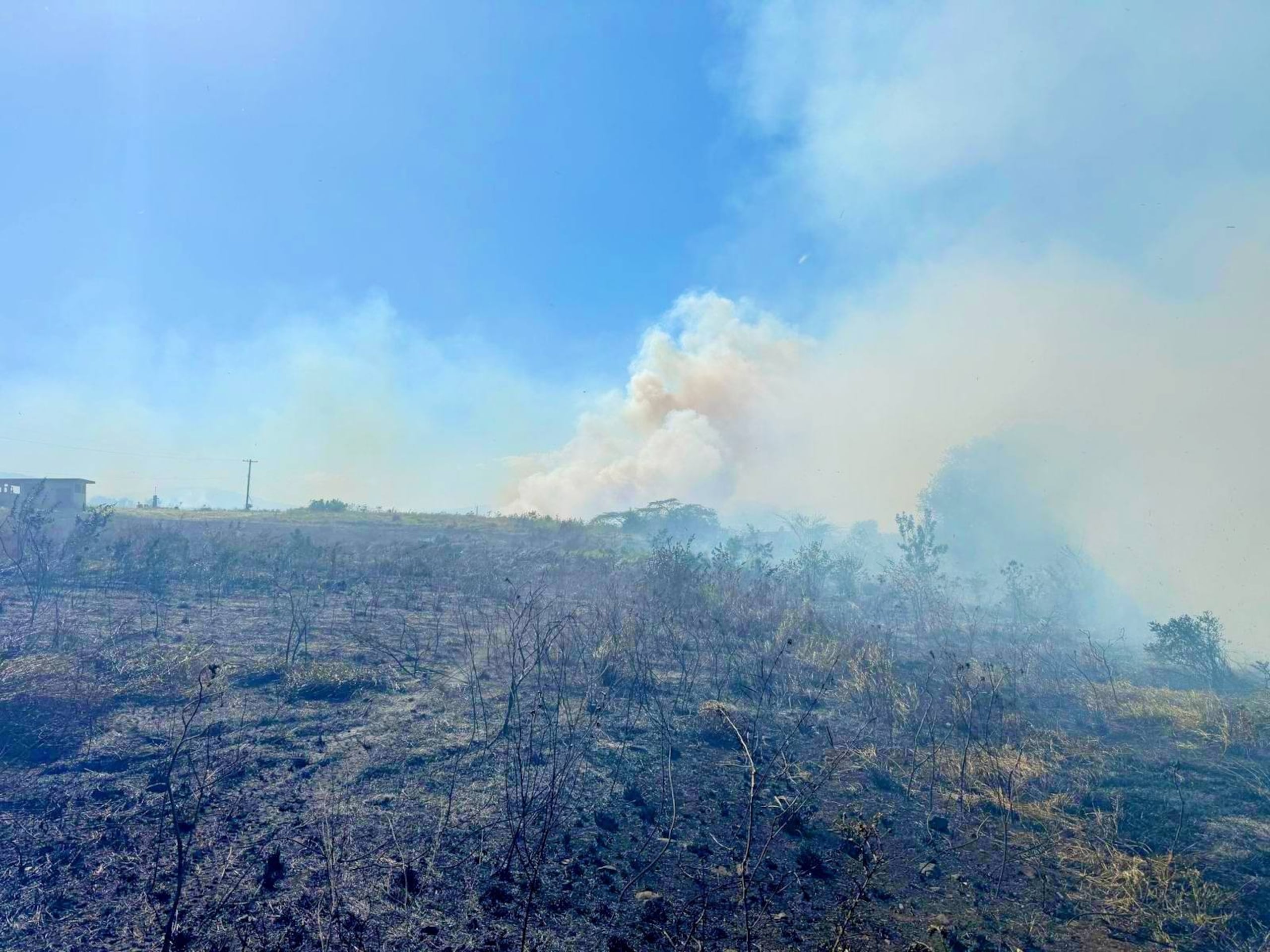 Un incendio forestal se desató en la carretera 304 del barrio La Parguera en Lajas.