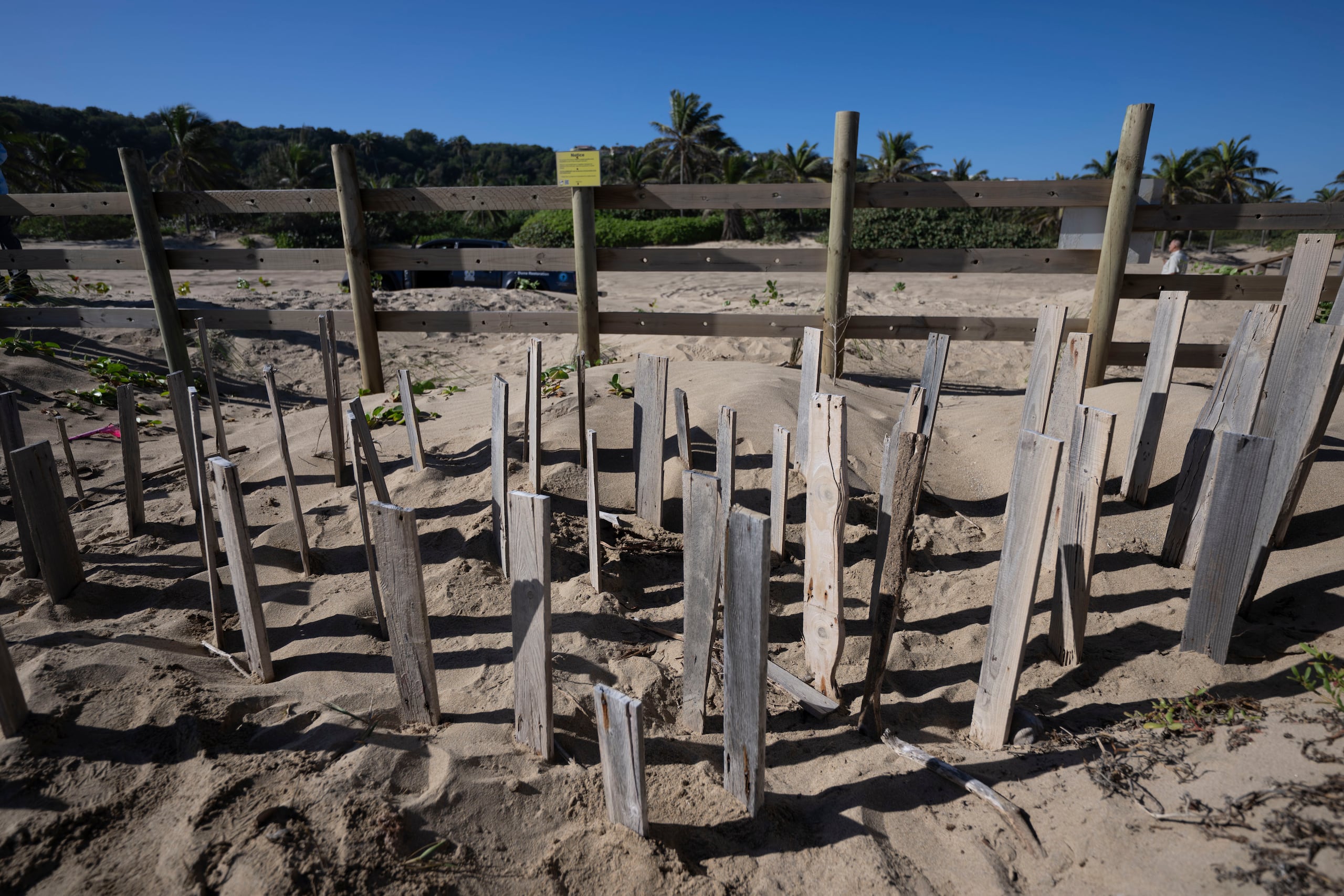 Imagen de la técnica de biomímica para lograr formar las dunas.