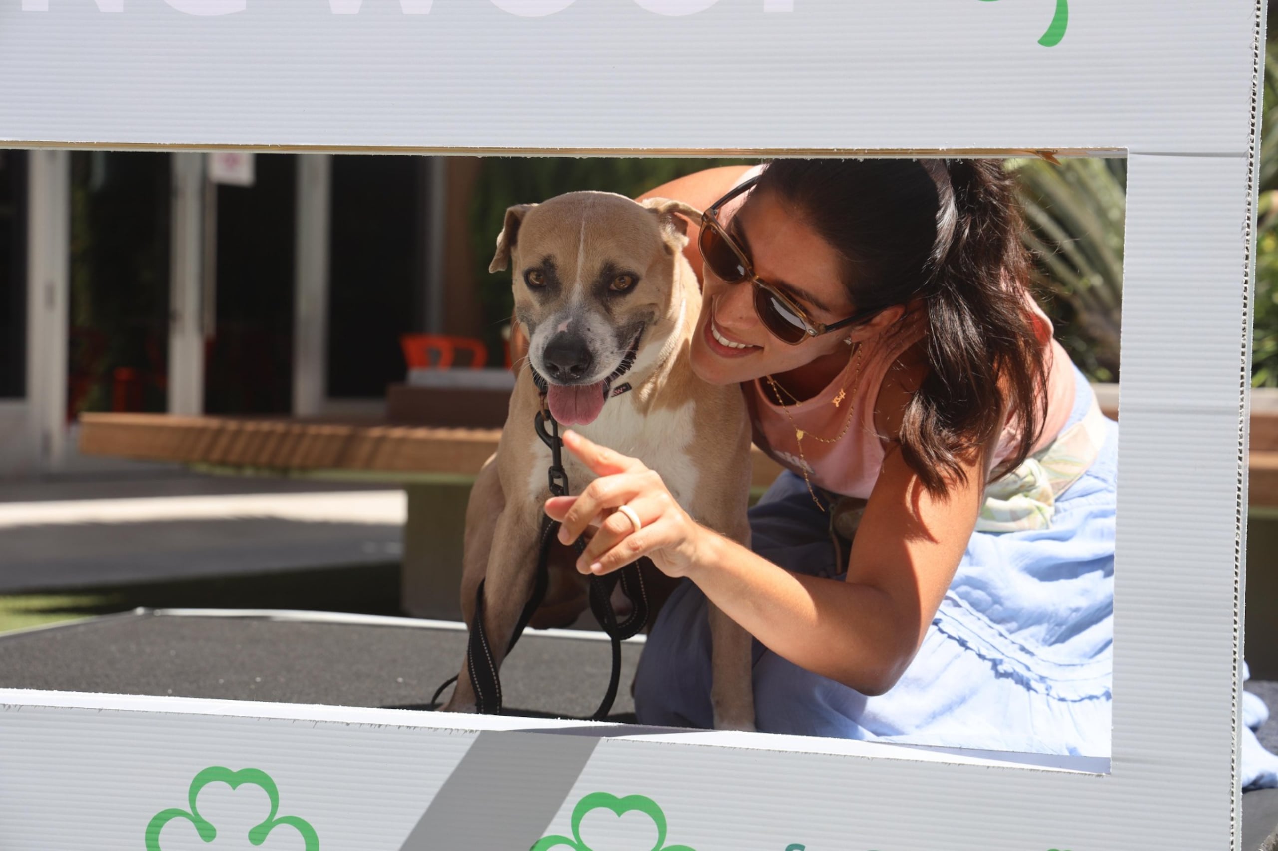 El público y sus mascotas disfrutarán de un dog park, juegos y goodies en el National Dog Day de San Patricio Plaza.